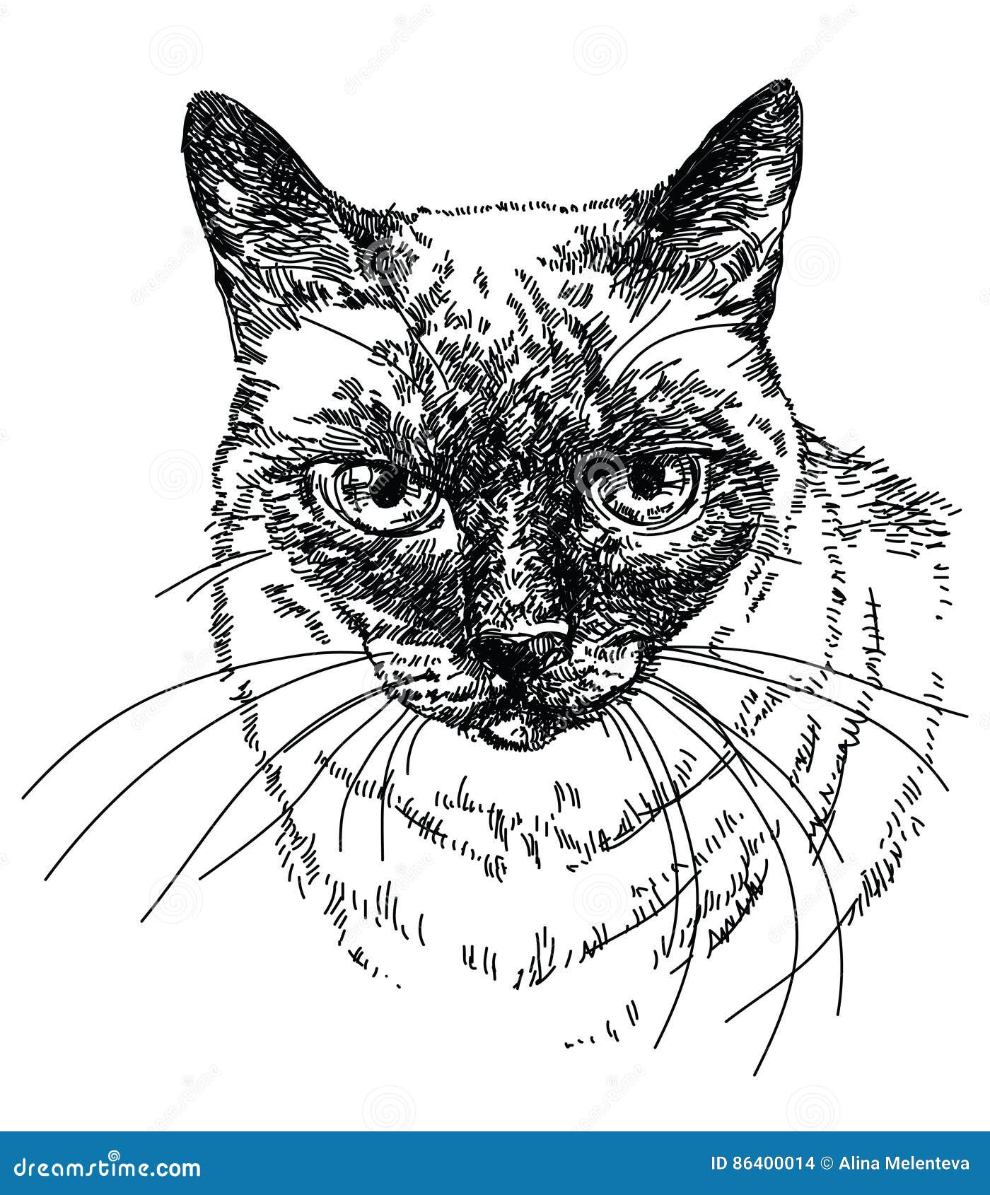 820+ Cat Head Profile Illustrations, Royalty-Free Vector Graphics & Clip  Art - iStock