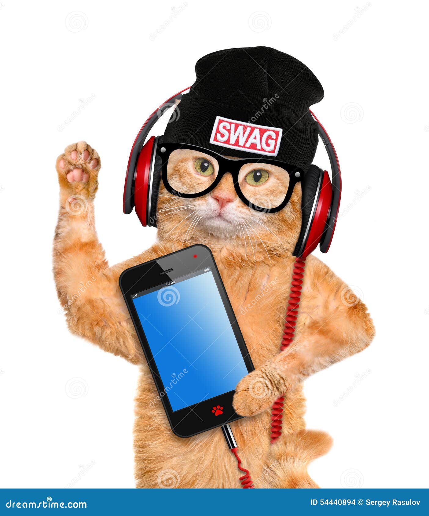 Cat in headphones. stock photo. Image of mobile, beautiful 54440894