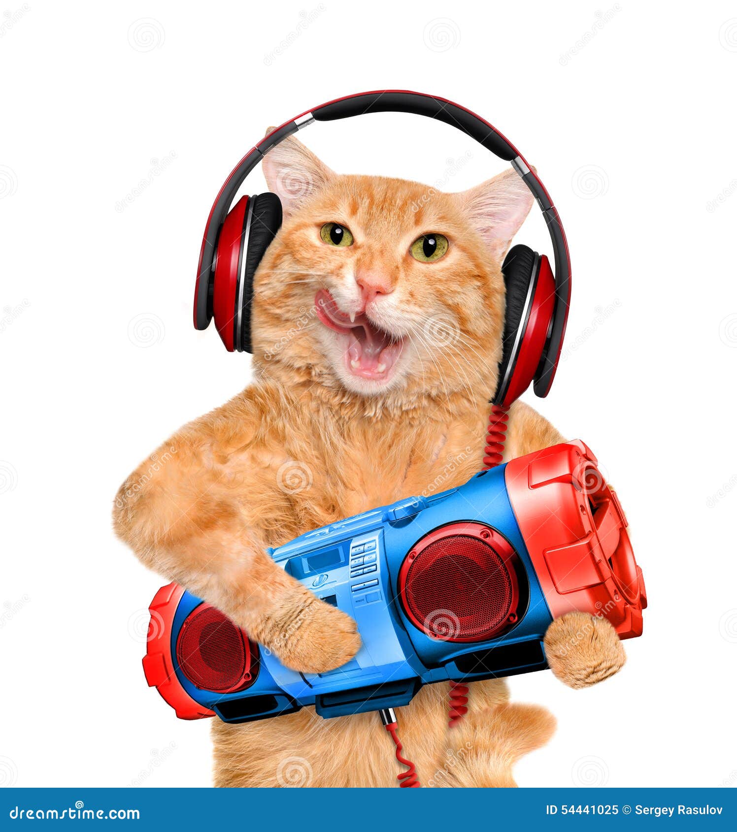 Cat Headphones with Tape Recorder. Stock Image Image of connect