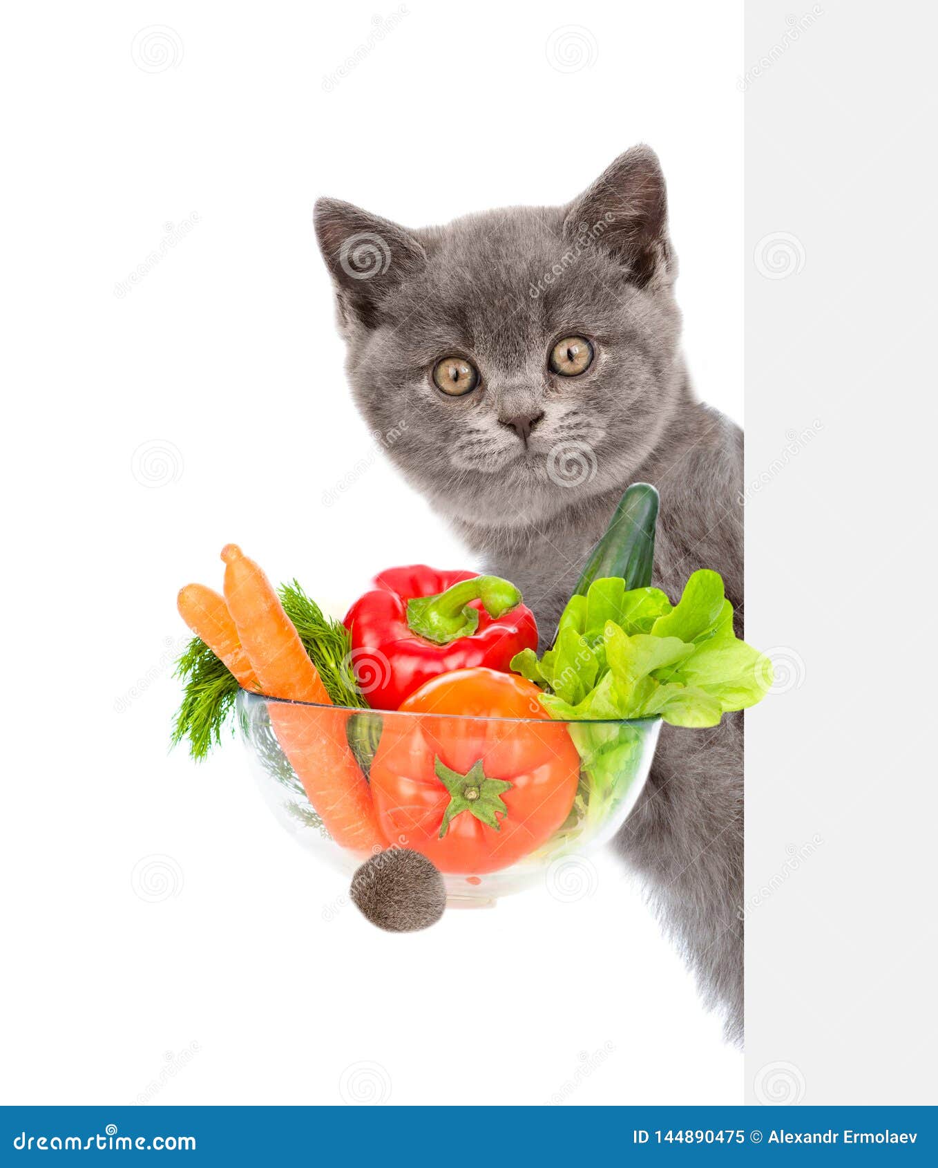 Cat Holding Bowl of Vegetables and Peeking from Behind Empty Board ...