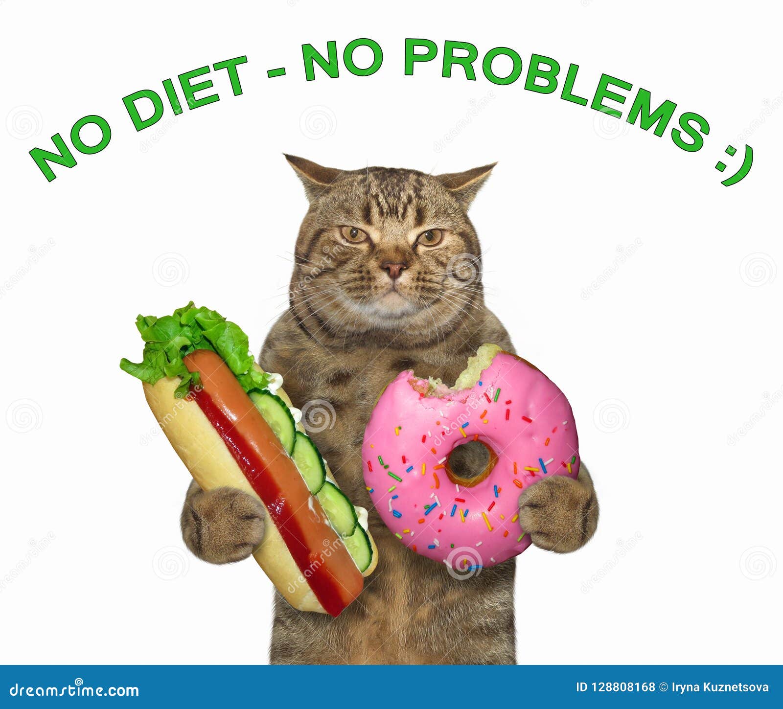 Cat With A Hot Dog And A Donut Stock Photo - Image of lettering ...