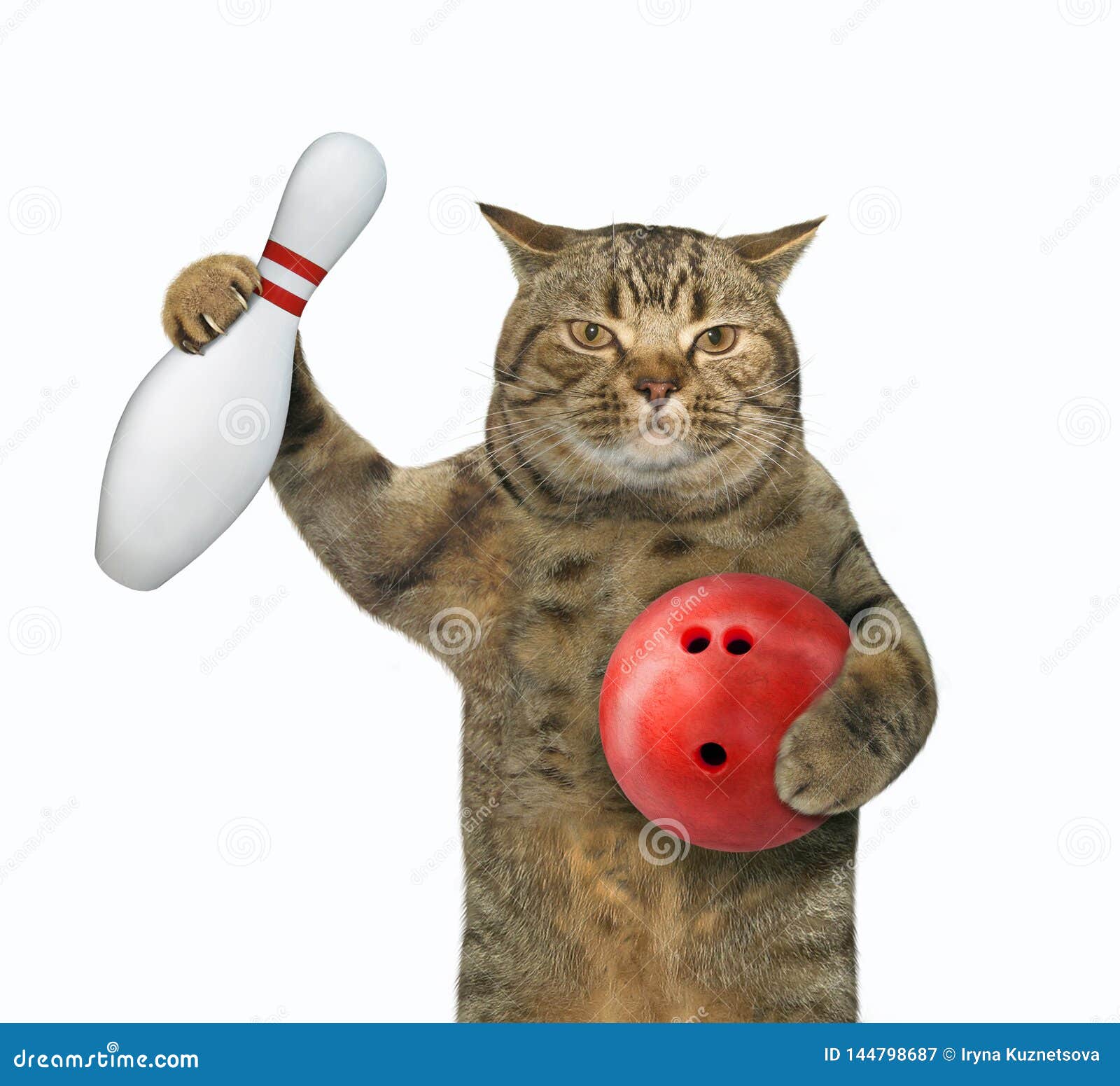 cat bowling online game