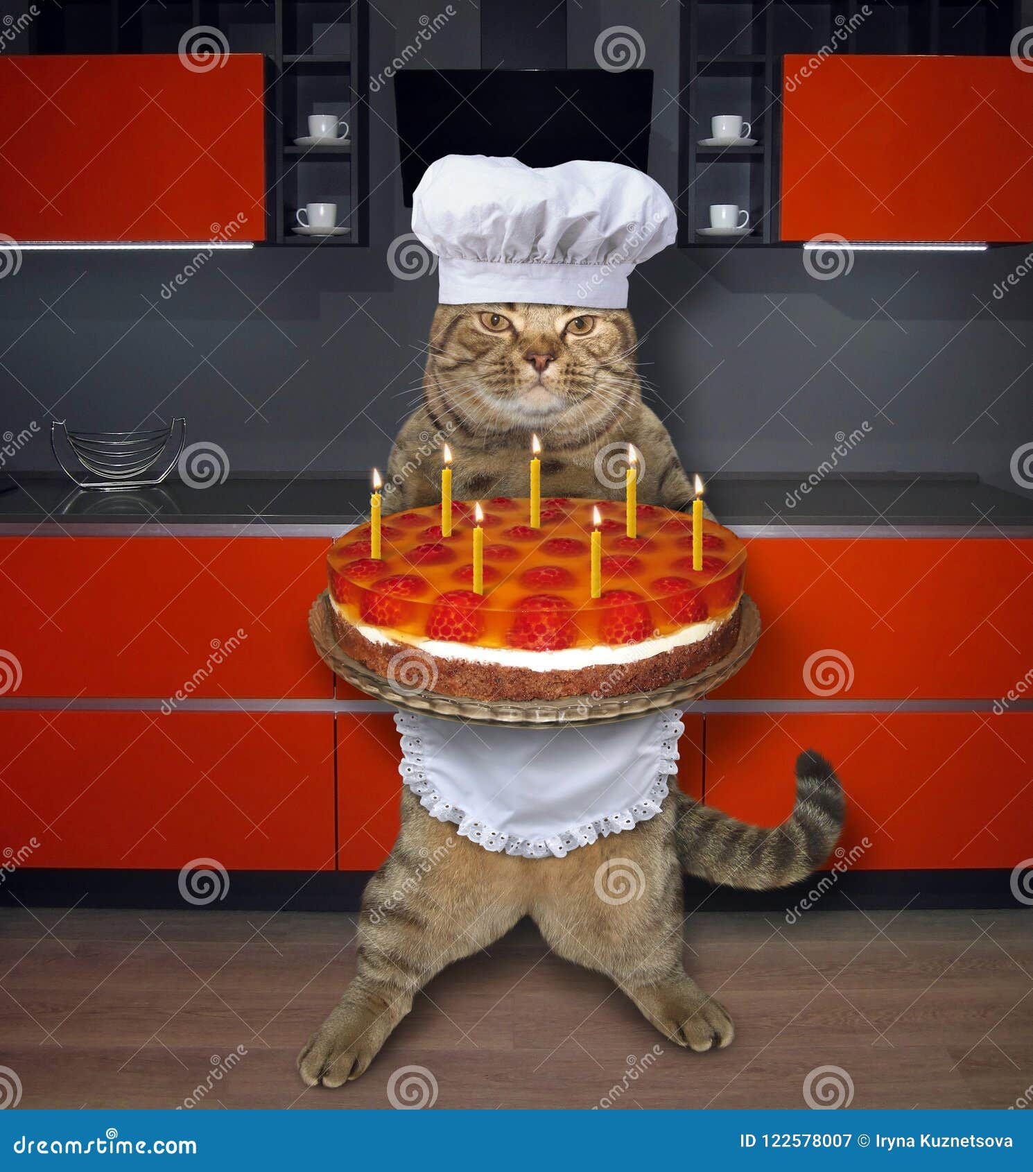 Cat Holds a Birthday Cake with Candles 2 Stock Image Image of