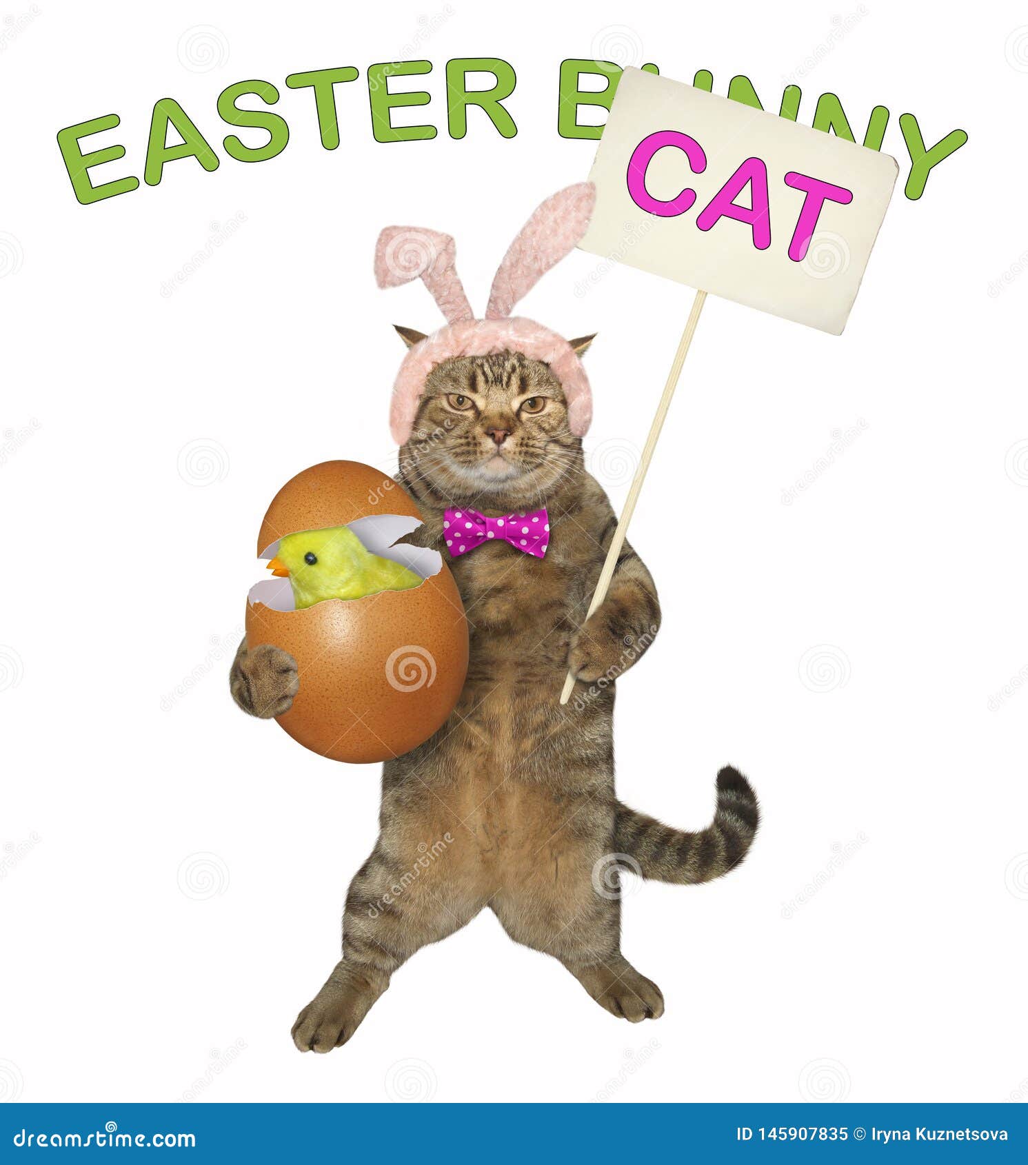 Cat Holds the Easter Egg with a Chick 2 Stock Image Image of symbol, easter 145907835