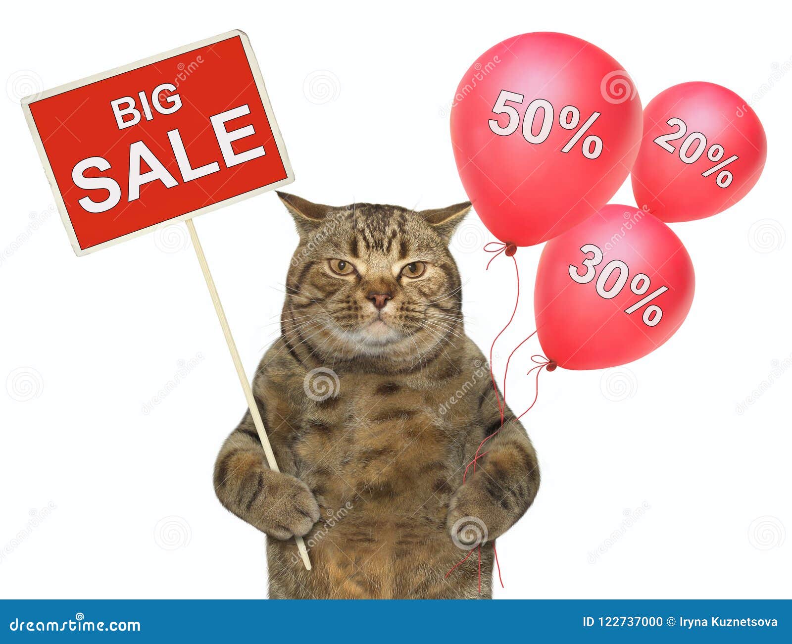 3 502 Cat Sale Photos Free Royalty Free Stock Photos From Dreamstime
