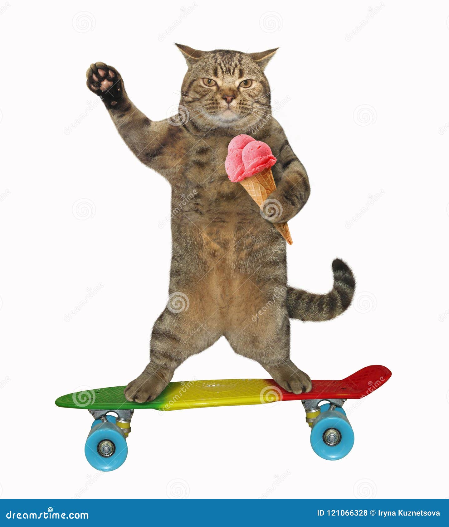 Cat with Ice Cream Rides a Skateboard Stock Photo Image of pink