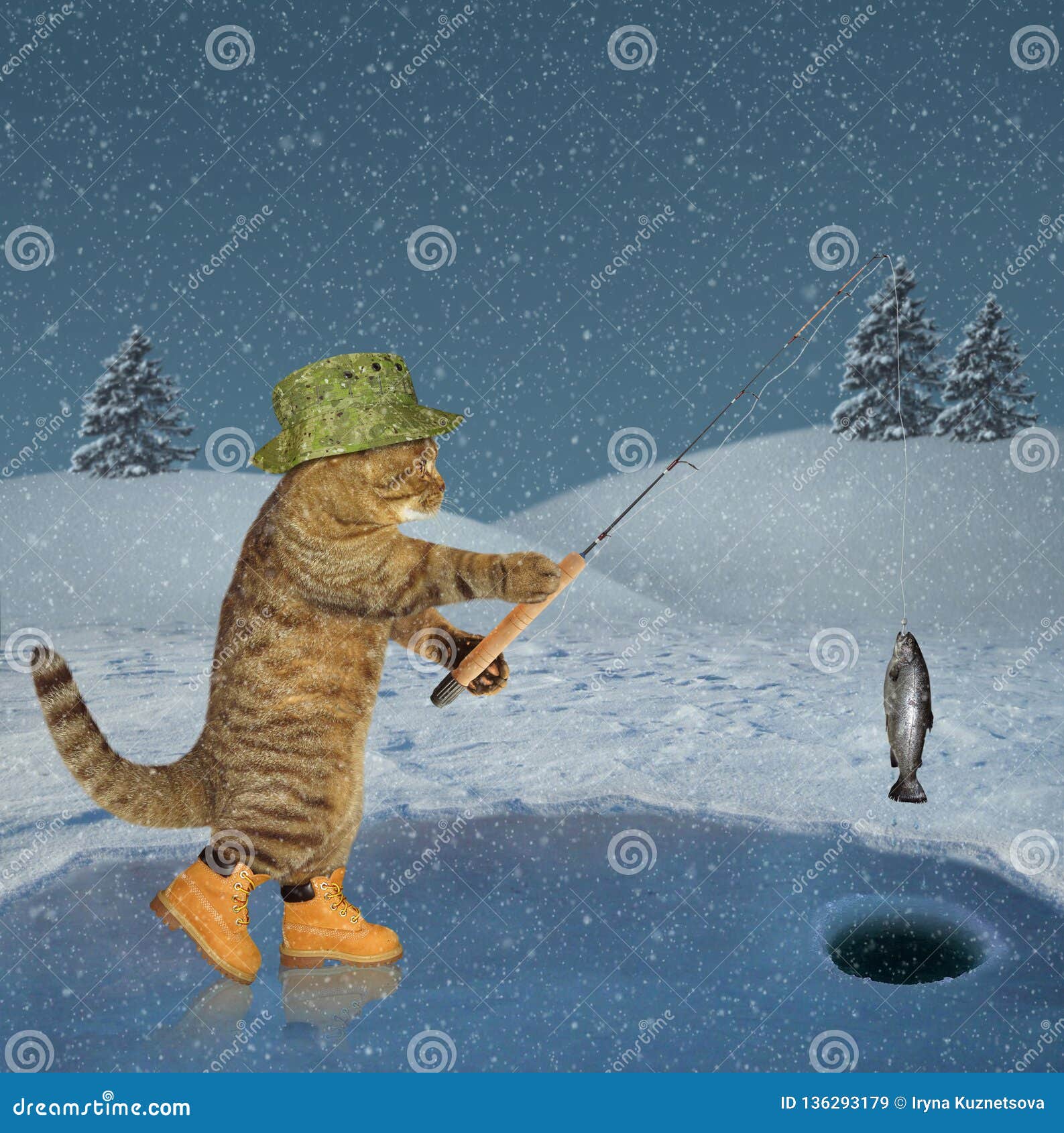 Cat on ice fishing stock image. Image of fish, hole - 136293179