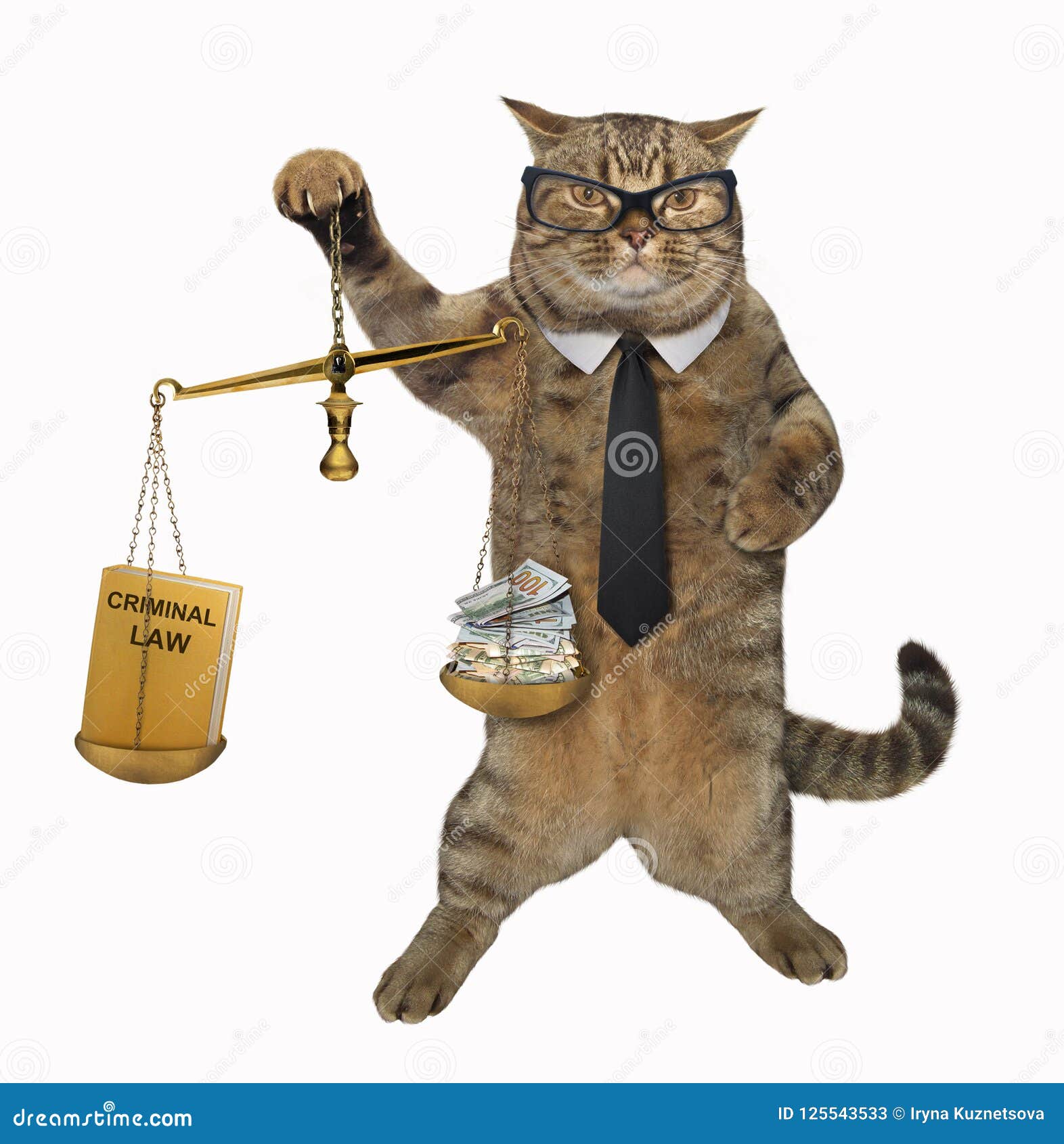 Cat Judge Holds A Scale Of Justice Stock Illustration   Illustration Of
