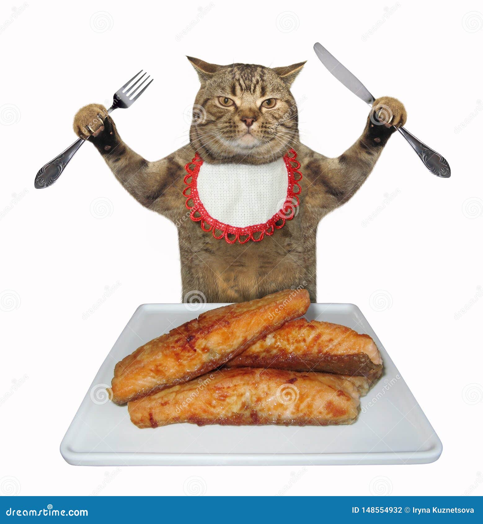 Cat eats fried trout stock photo. Image of fish, cook 148554932