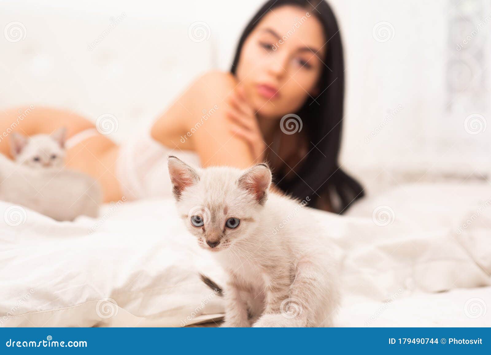 Kitten petplay