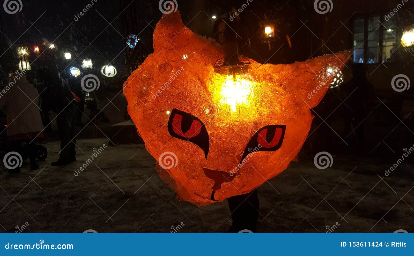 cat lantern in light festival lux helsinki, finland