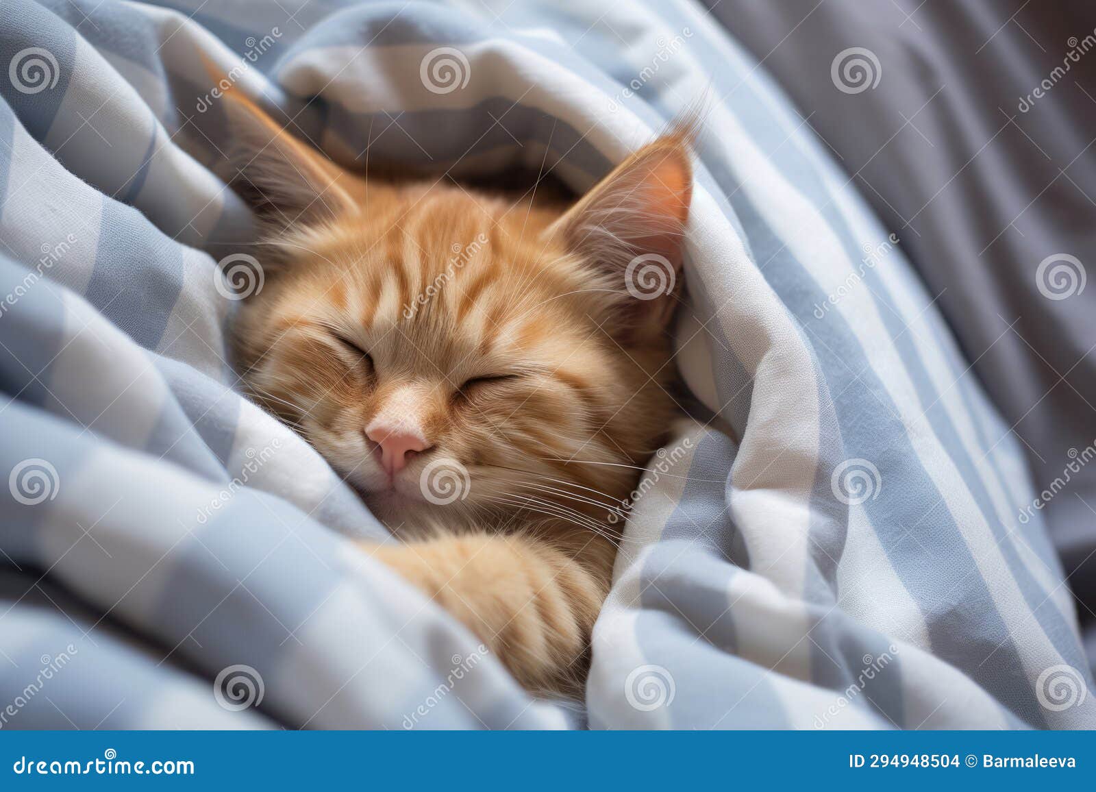 Kitten under bed cheap