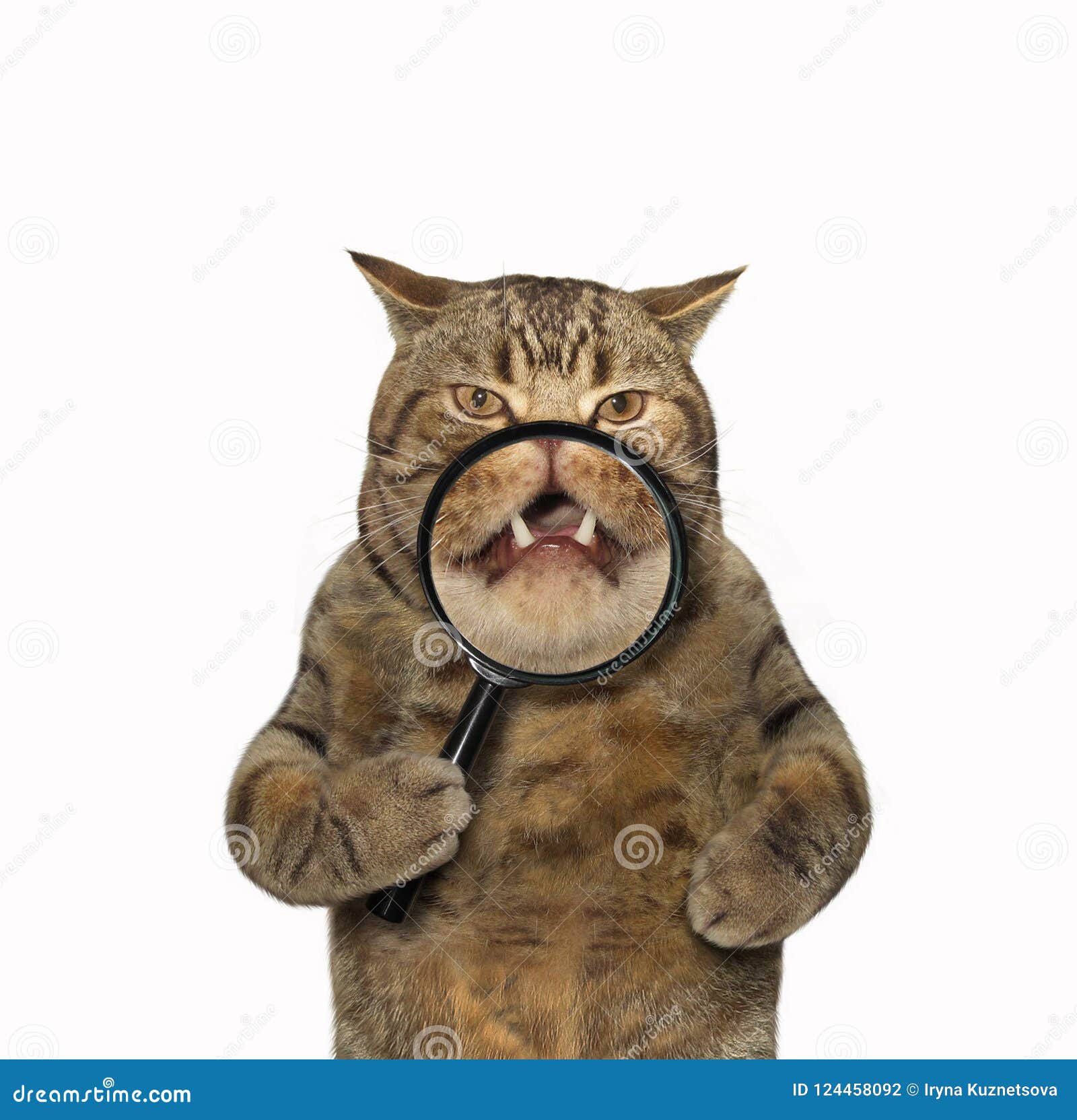 Cat and magnifying glass stock photo. Image of fangs - 124458092