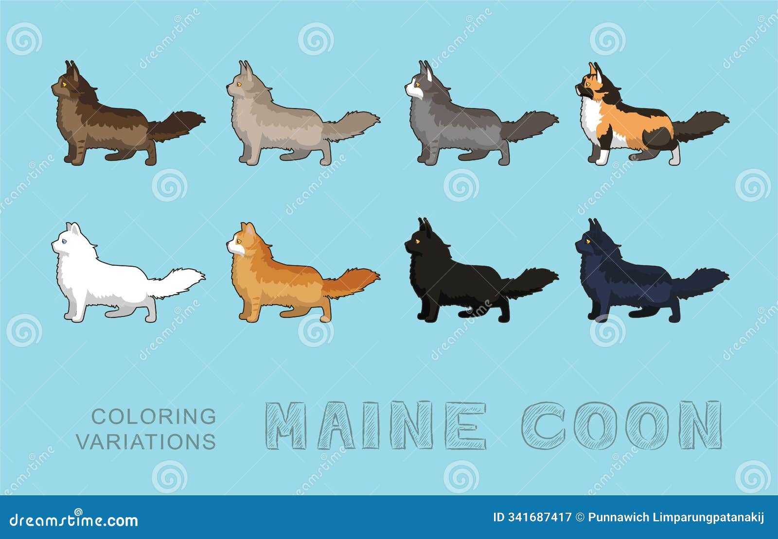 Cat Maine Coon Coloring Variations Vector Illustration Stock ...