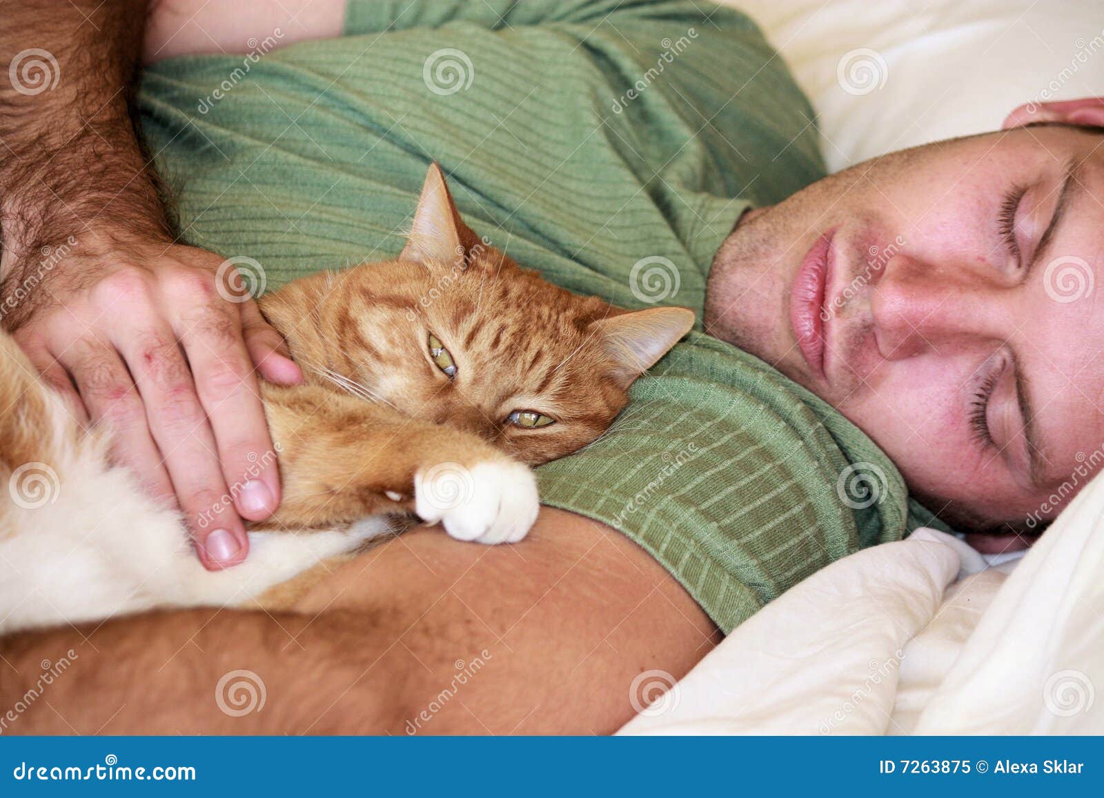 Cat And Man Laying On A Bed Stock Image Image Of Couch Comfortable 7263875