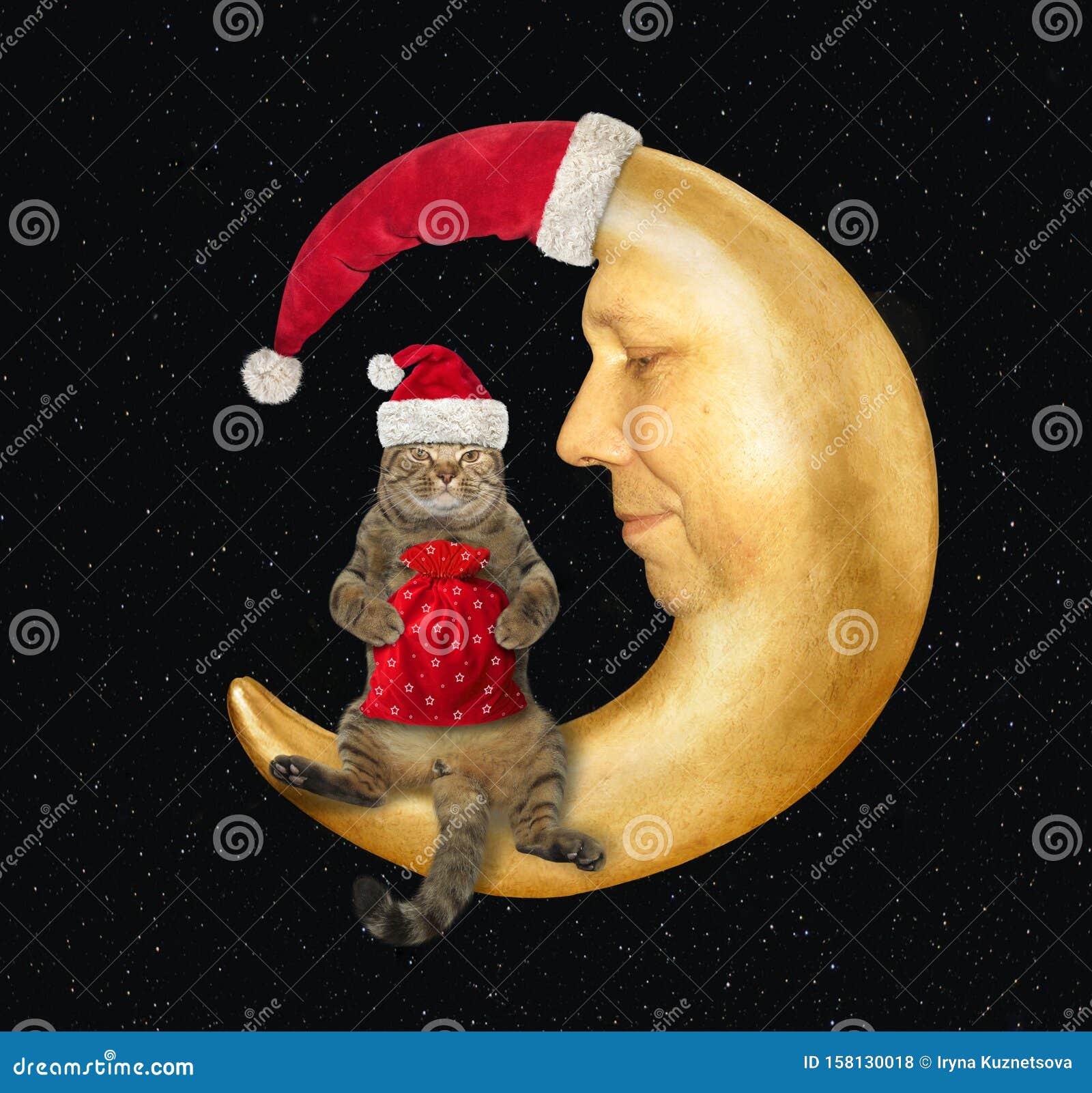 Cat On The Moon In A Red Hat 2 Stock Photo - Image of heaven, profile
