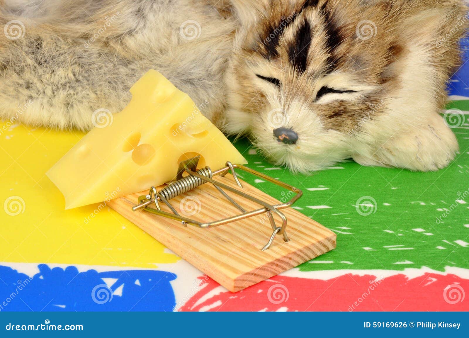 Cat and Mouse Trap stock photo. Image of model, catch 59169626