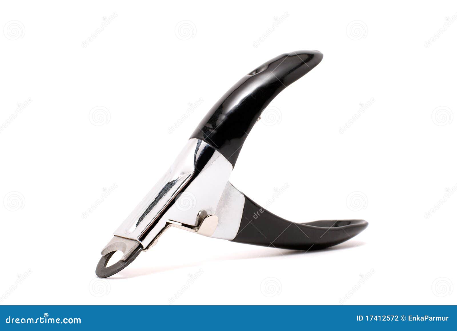 Cat nails cutter stock photo. Image of steel, black, tool 17412572