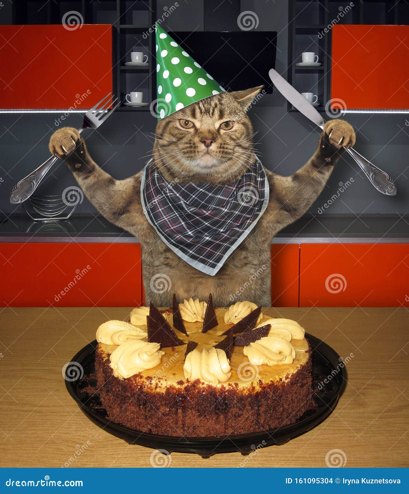 Cat Eating Birthday Cake In Kitchen Stock Photo Image of home, knife