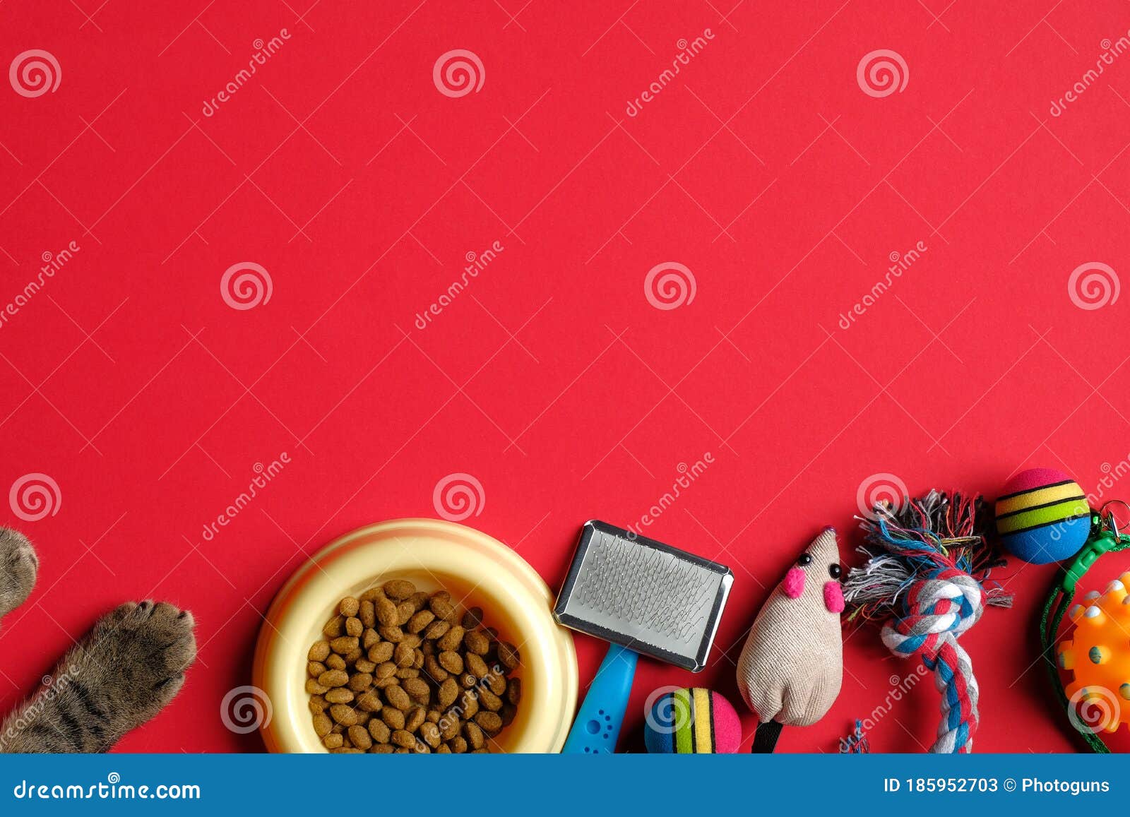 Download Cat Paw And Pet Accessories On Red Background Flat Lay Top View Veterinary Shop Banner Mockup Stock Image Image Of Banner Animal 185952703 PSD Mockup Templates