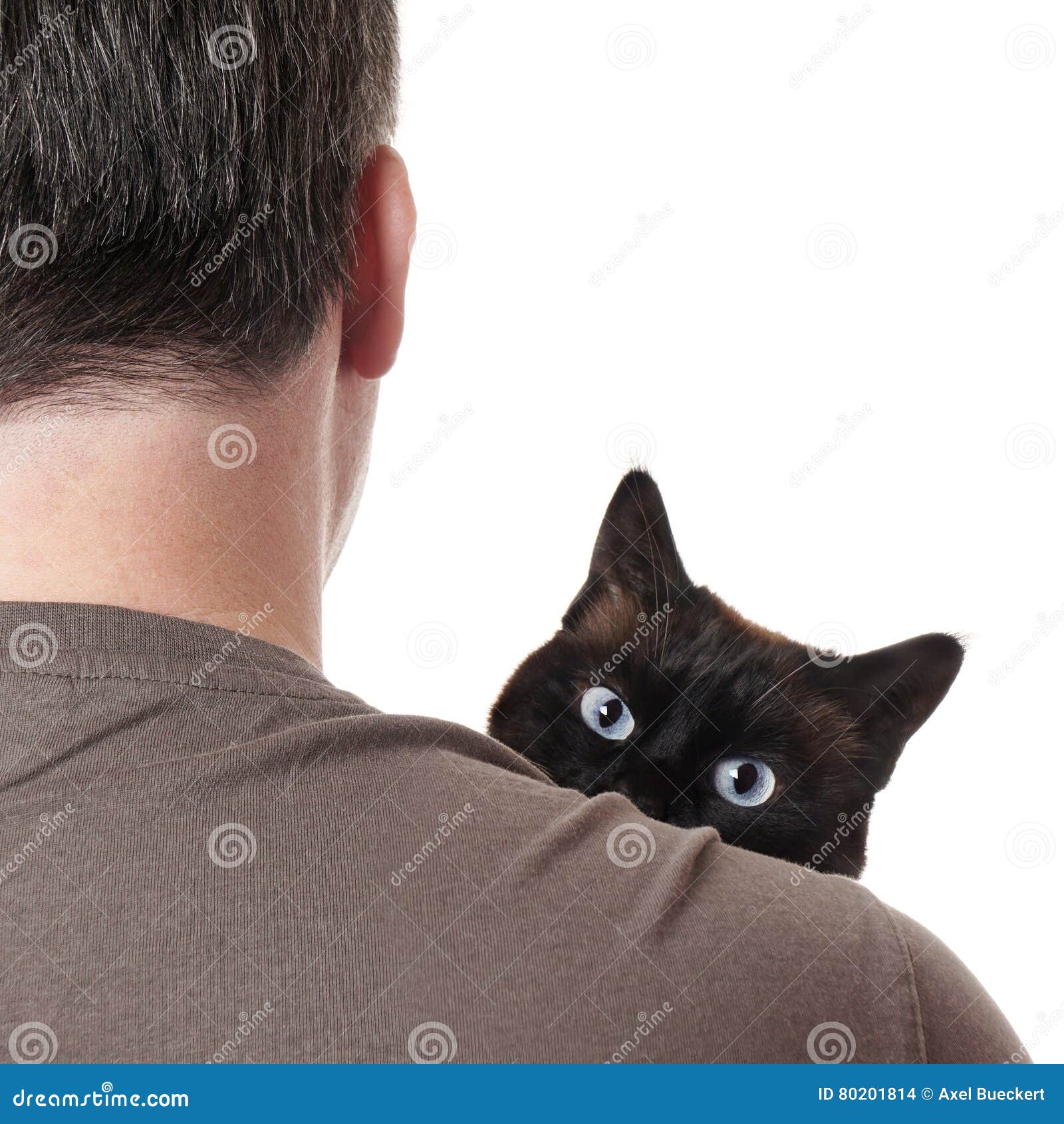 Cat peeking over shoulder stock photo. Image of surveillance 80201814