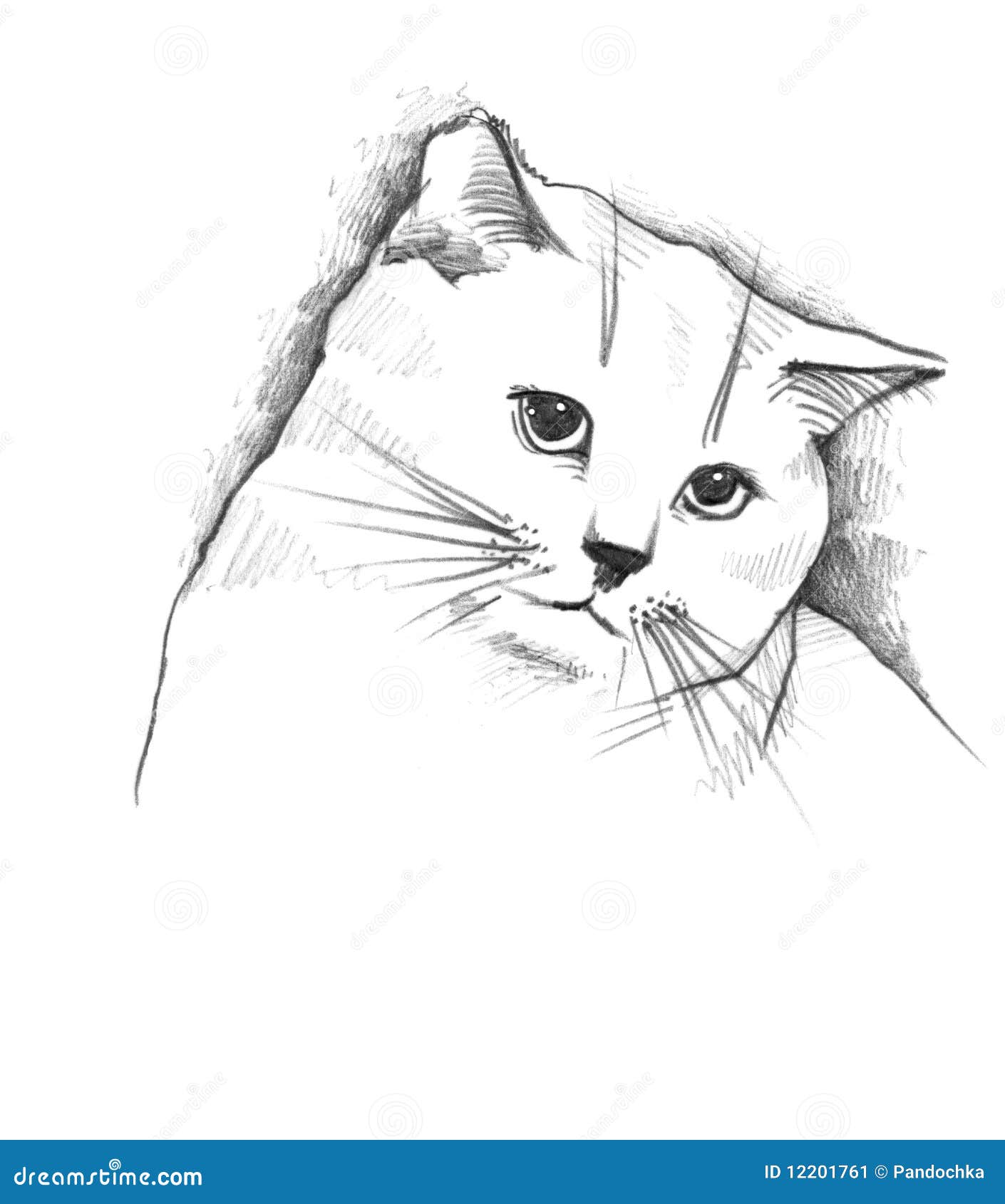 How to Draw a Cat - Easy Drawing Tutorial For Kids