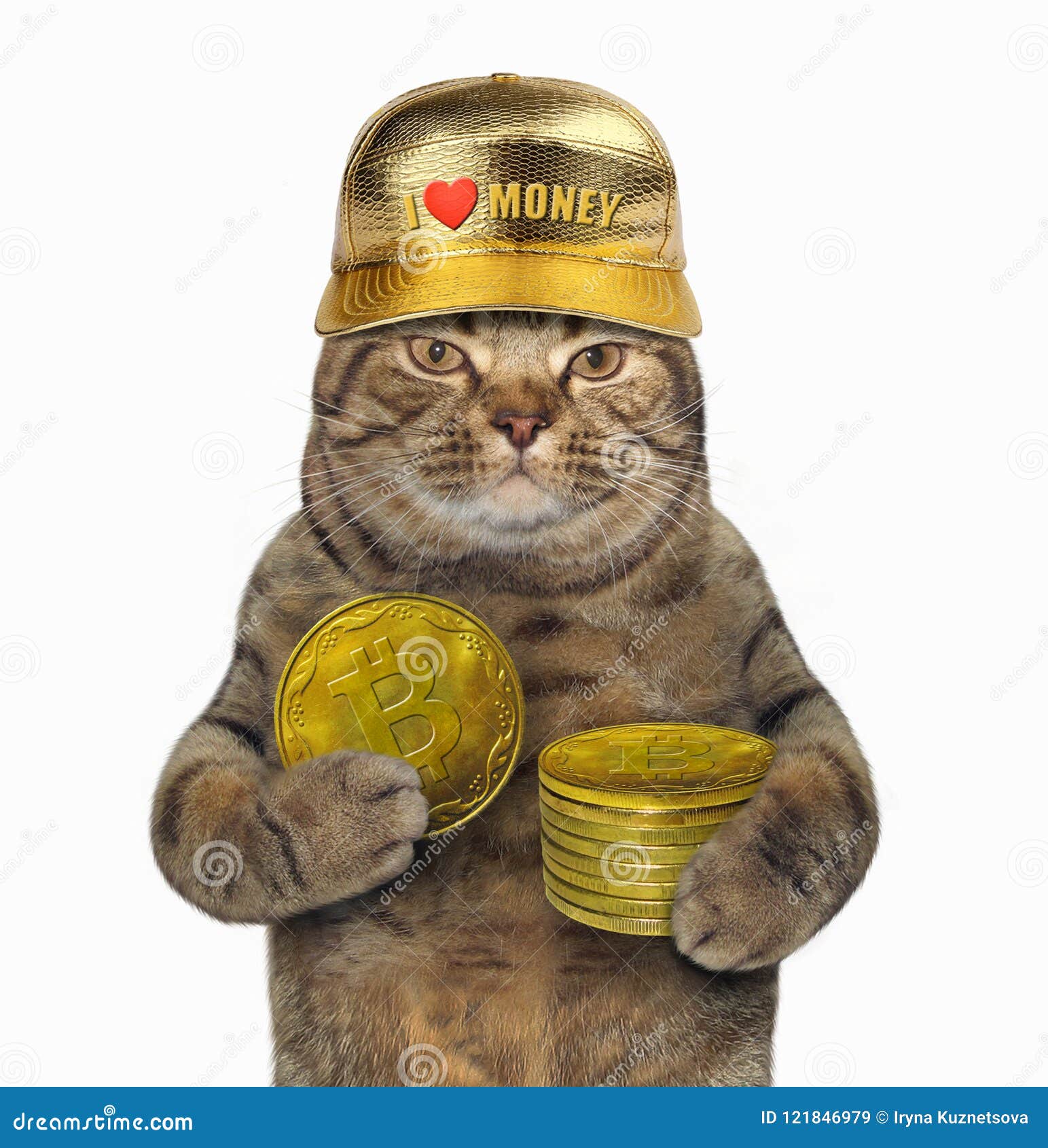 955 Cat Coin Stock Photos - Free & Royalty-Free Stock Photos from Dreamstime