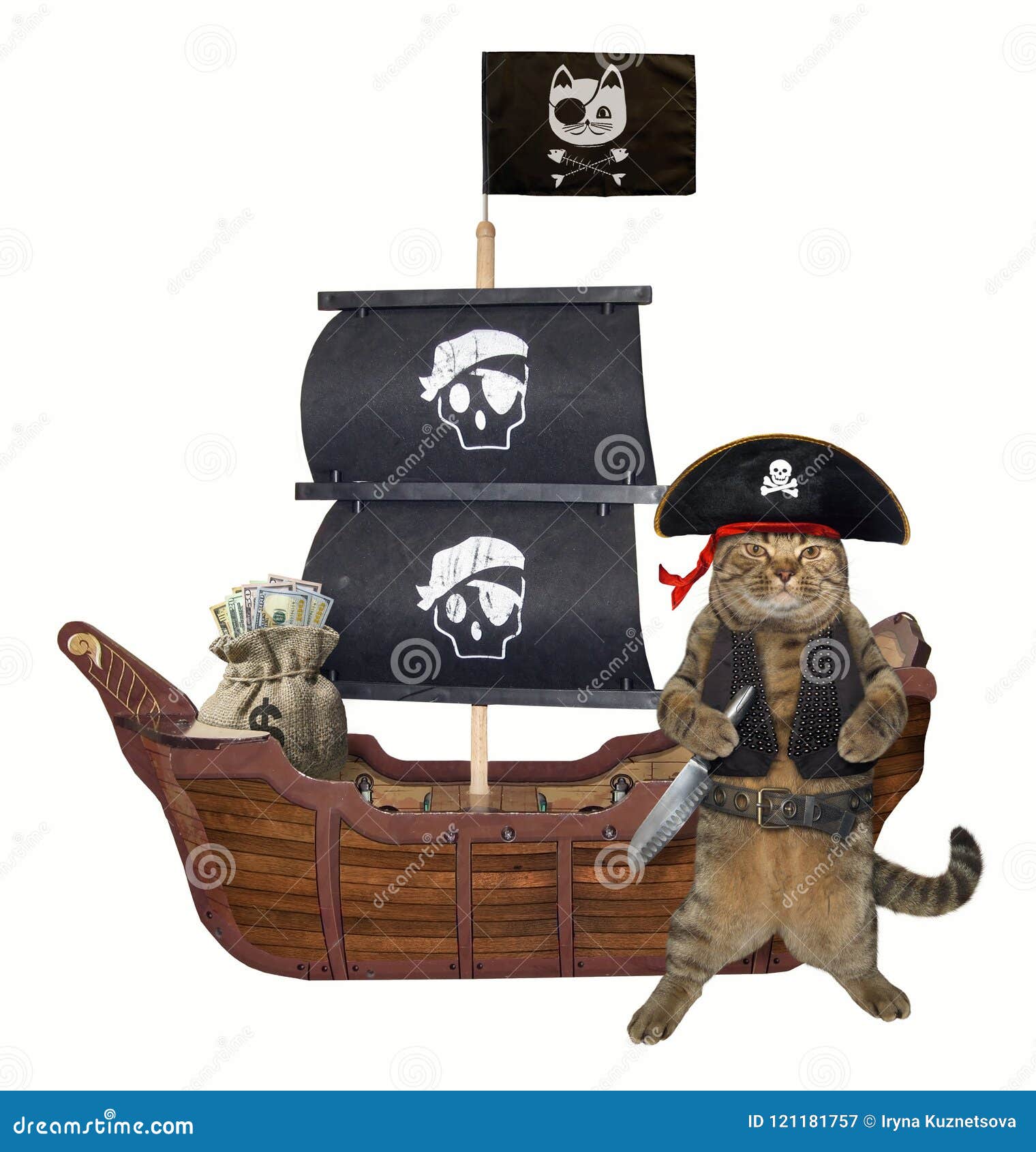 Cat Pirate Near The Ship Stock Image Image Of Funny 121181757