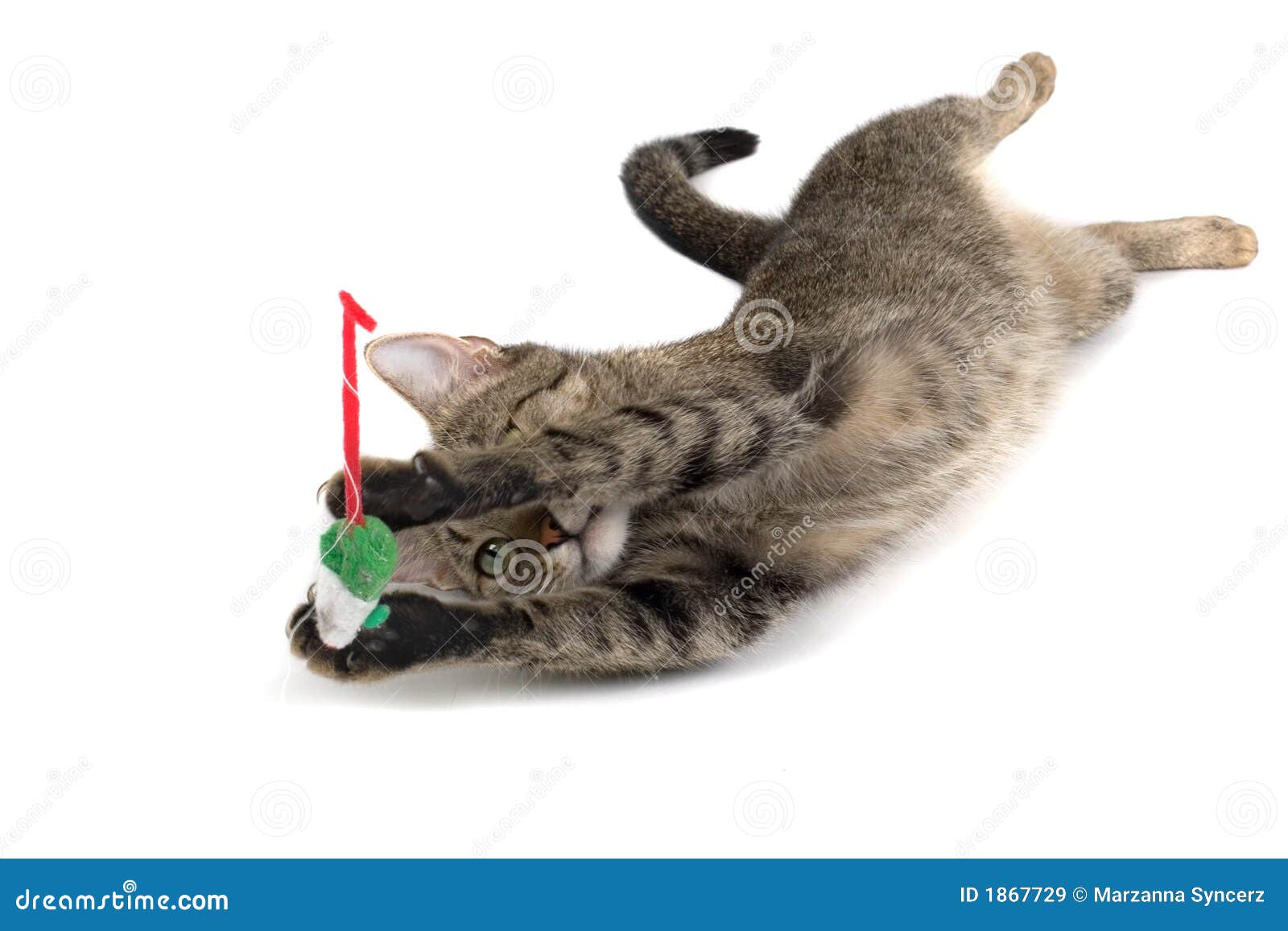 Cat Playing with Mouse stock image. Image of fake, appealing 1867729