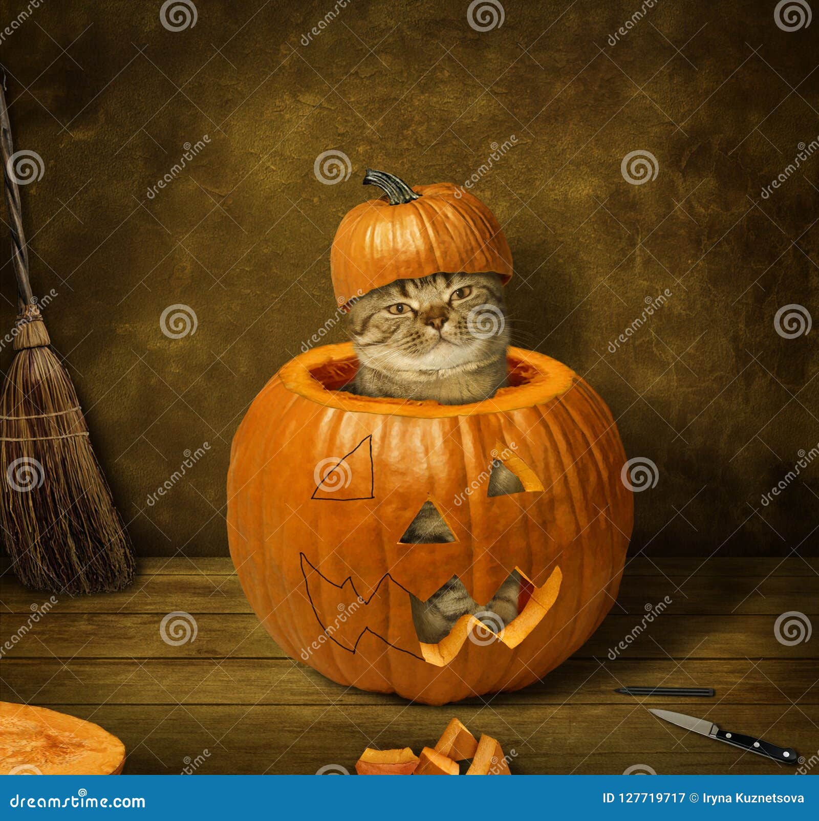 cat in pumpkin