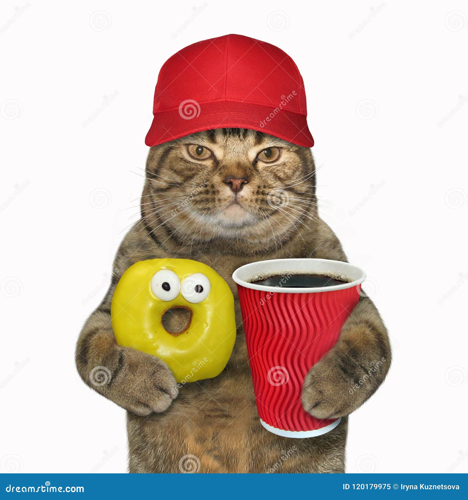 Cat In Red Cap With Yellow Donut Stock Image Image Of Funny Bakery Cat In Red Cap With Yellow Donut Stock Image Image Of Funny Bakery