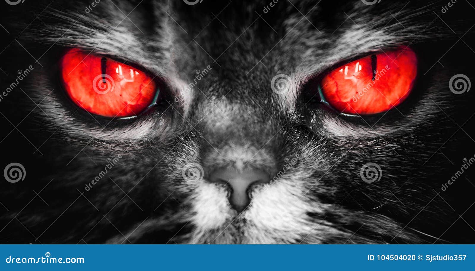 A with Red Eyes, an Evil Terrible Face from Nightmare, Looks Directly into the Soul, Stock Photo - Image of monster, devil: 104504020
