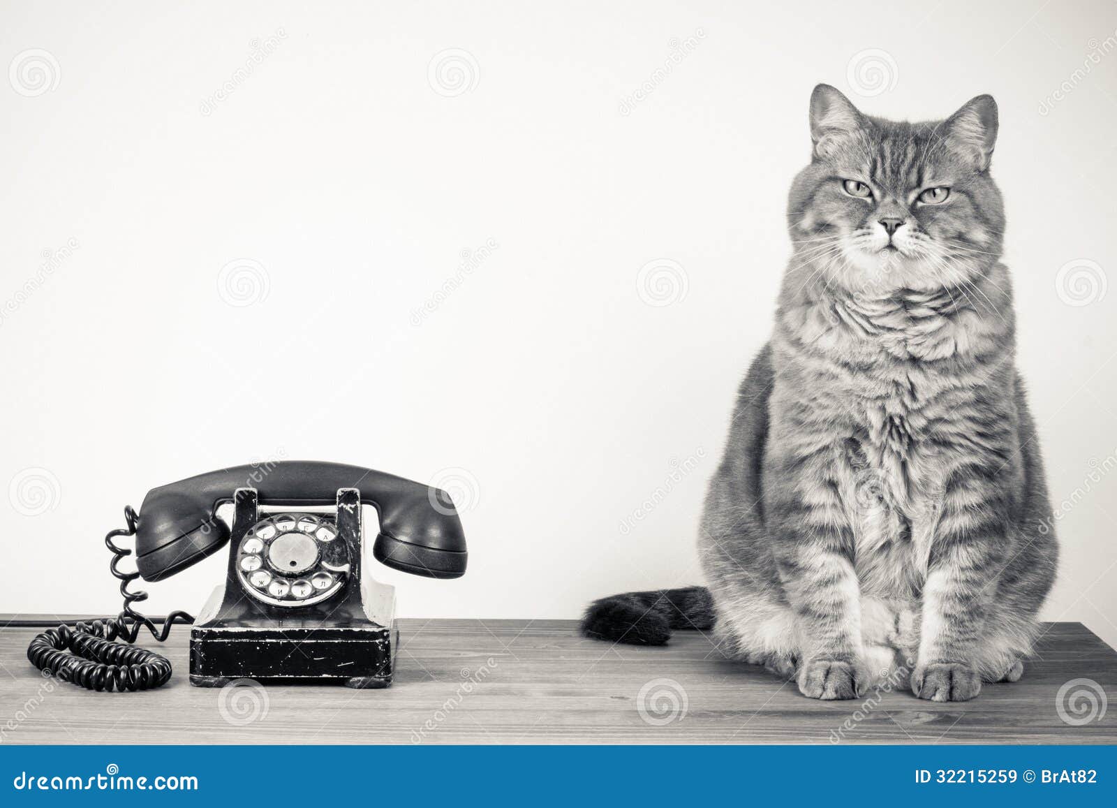 Cat with retro telephone icon, Cute and funny vintage color