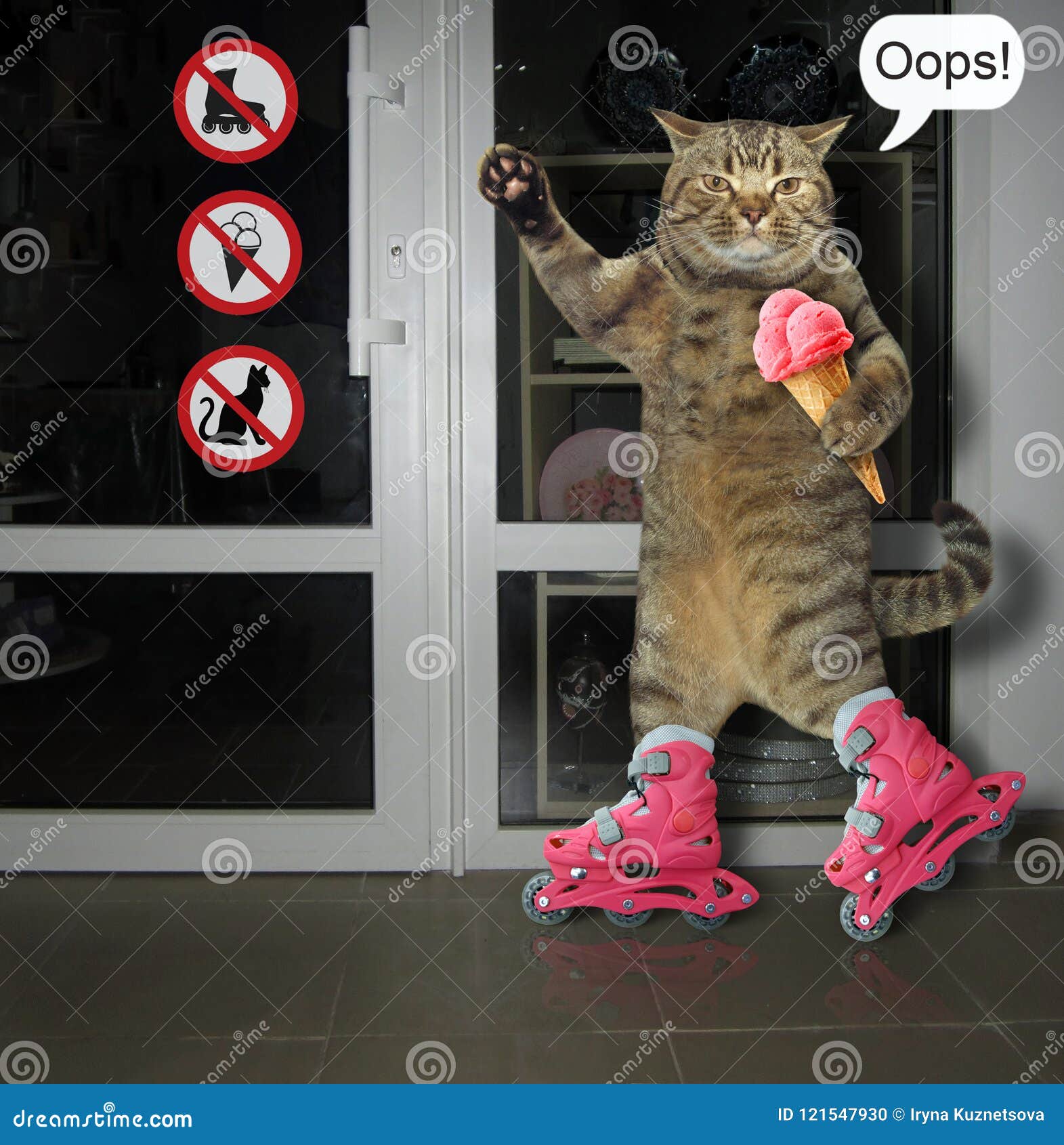 Cat on roller skates stock photo. Image of pink, oops 121547930