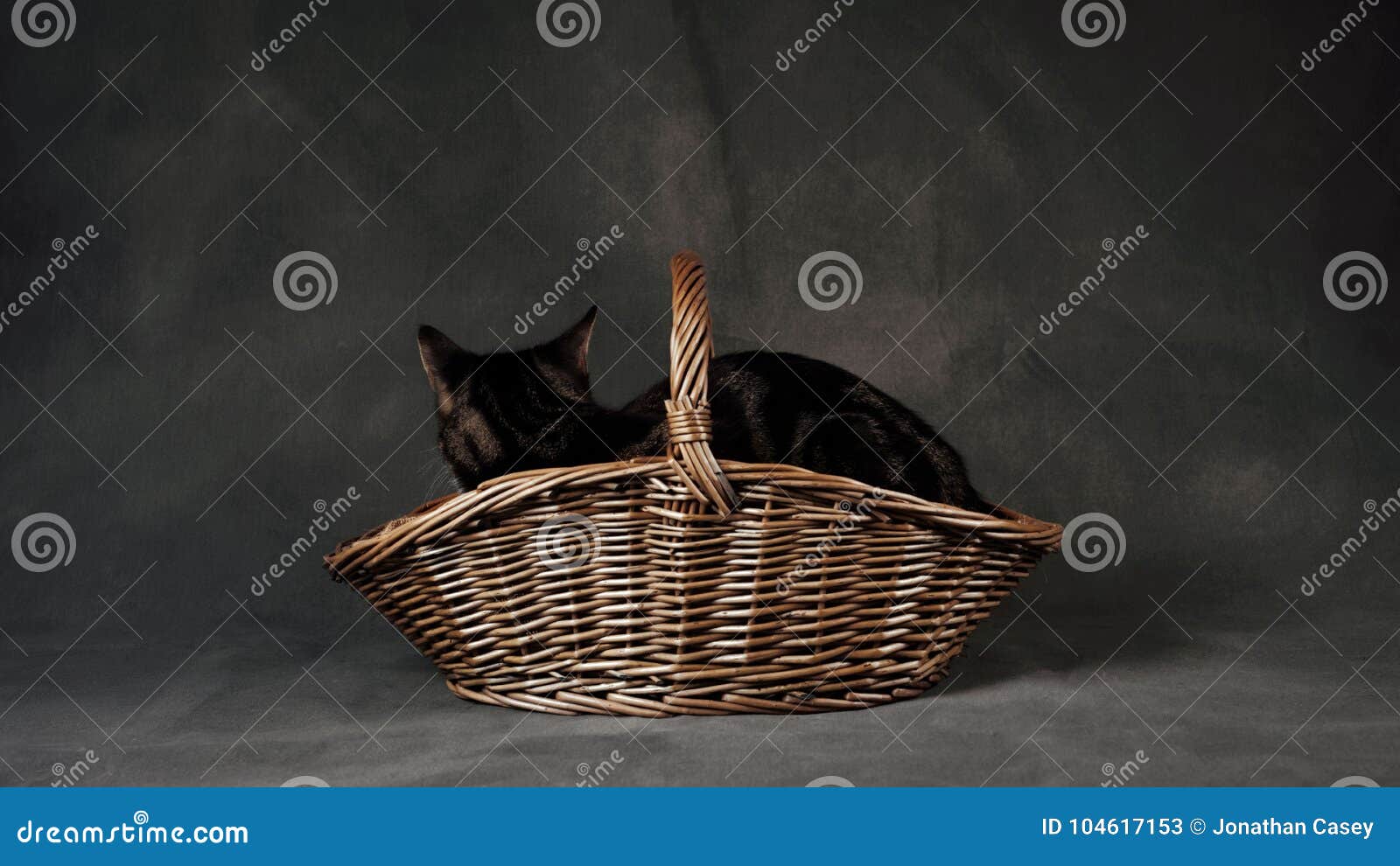 Cat in Rustic Wicker Basket Stockbild Bild von rustikal,