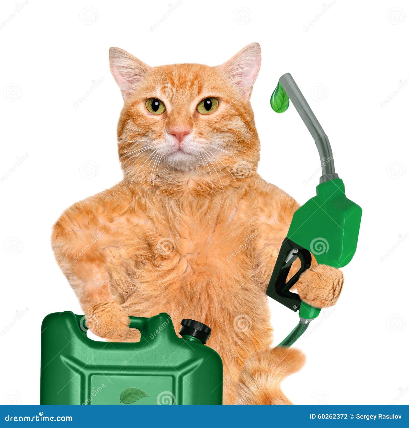 cat-s-hand-using-fuel-nozzle-drop-eco-friendly-fuel-isolated-white-60262372.jpg