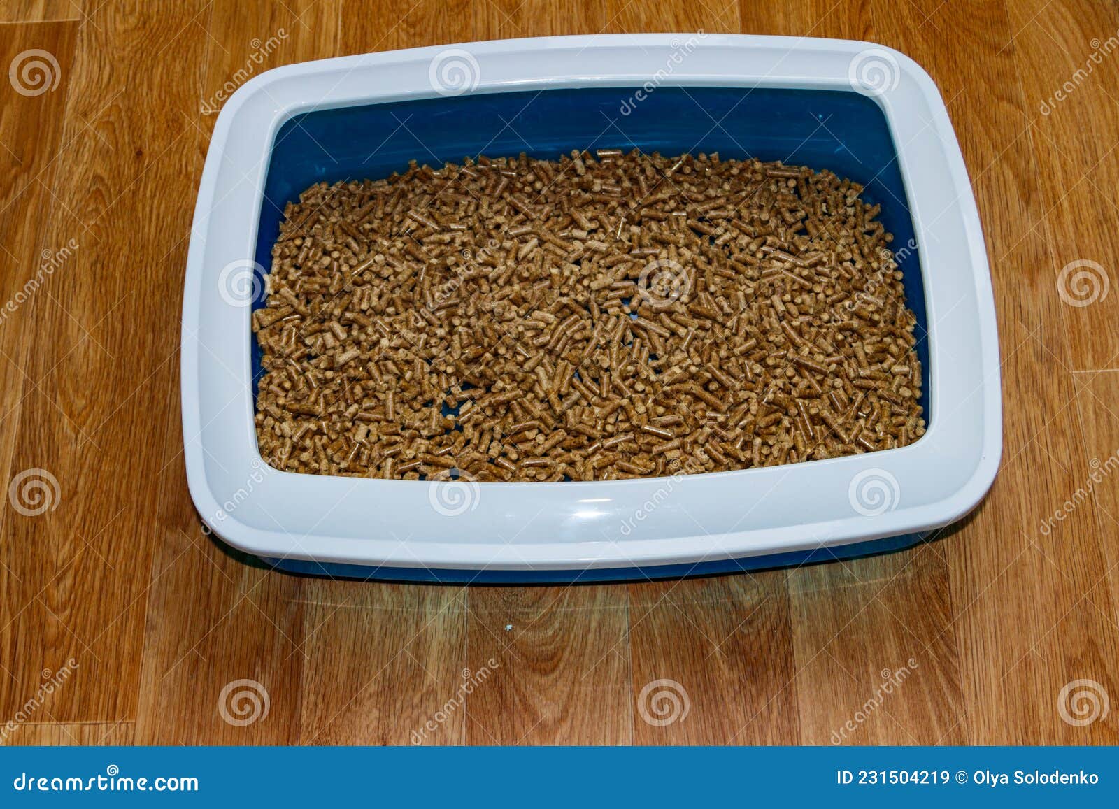 Cat`s Litter Box with Filler on Floor Stock Image Image of pellets