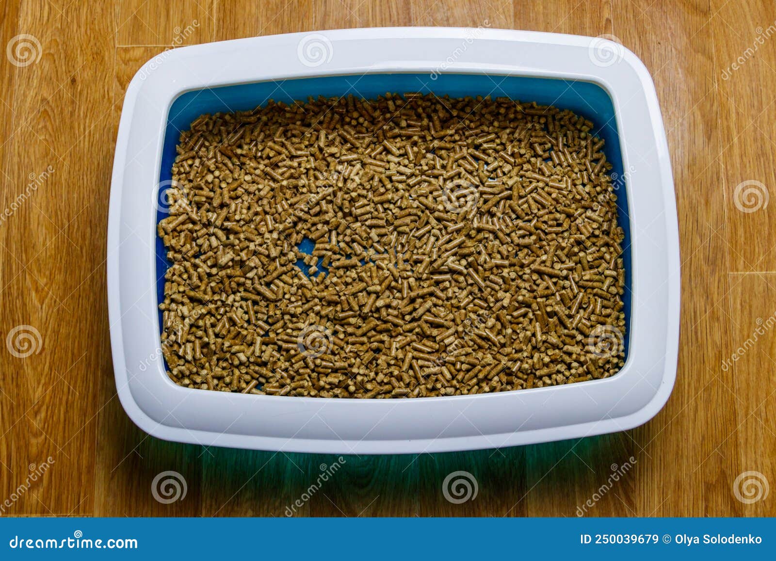 Cat`s Litter Box with Filler on Floor. Top View Stock Image Image of