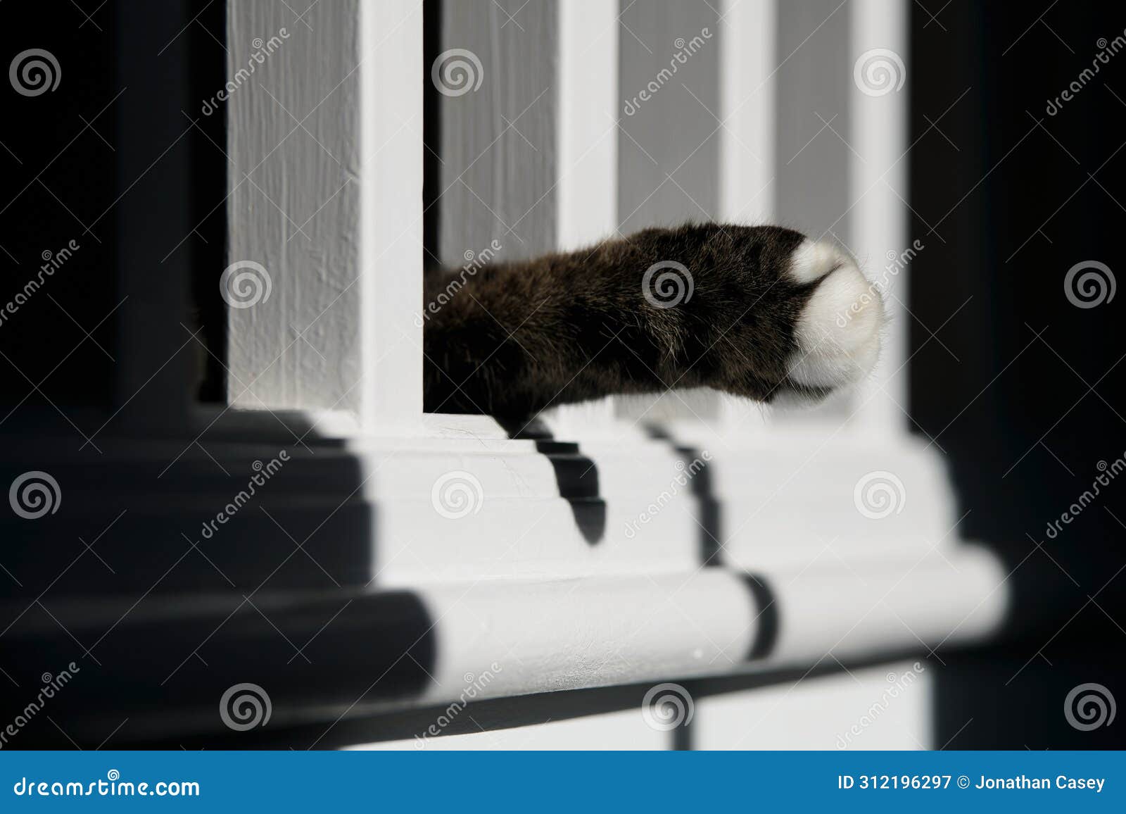 cat's paw through bannister