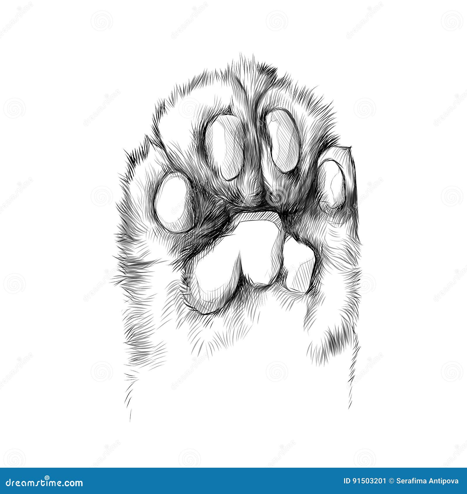 Paw Print Sketch Images - Free Download on Freepik