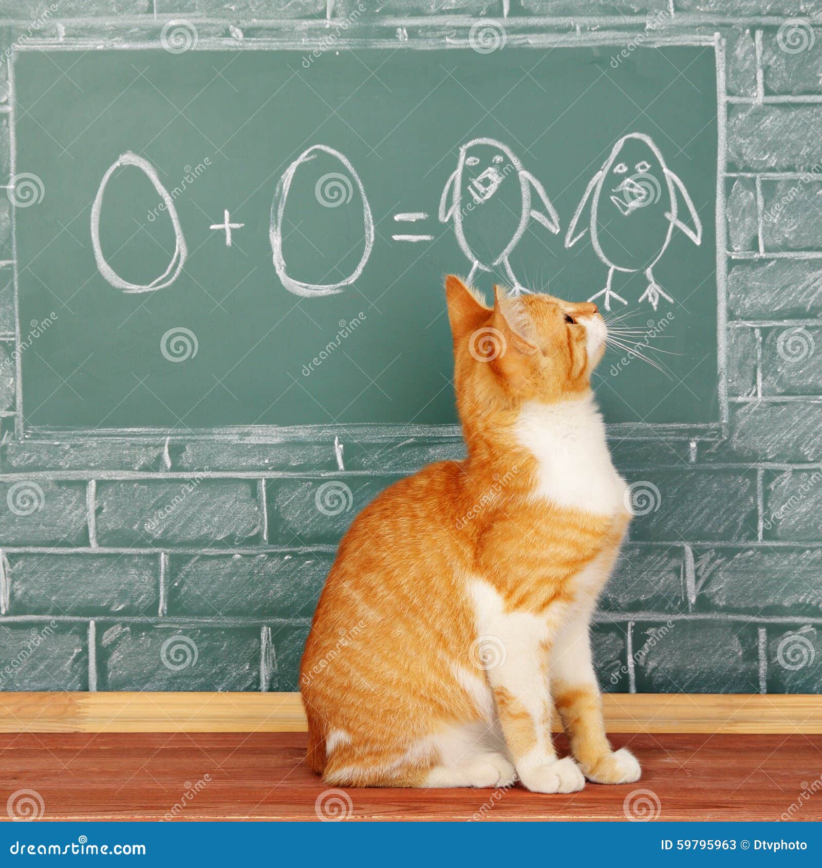  Cat  school  stock image Image of board concept error 