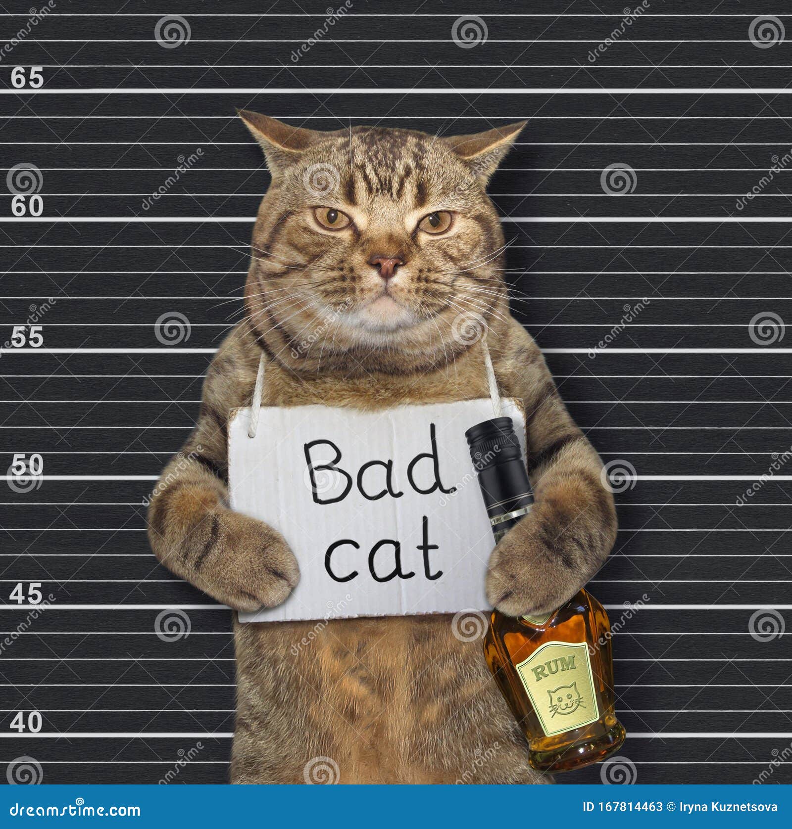 Cat with Sign and Rum in Prison Stock Image - Image of beige, creative:  167814463