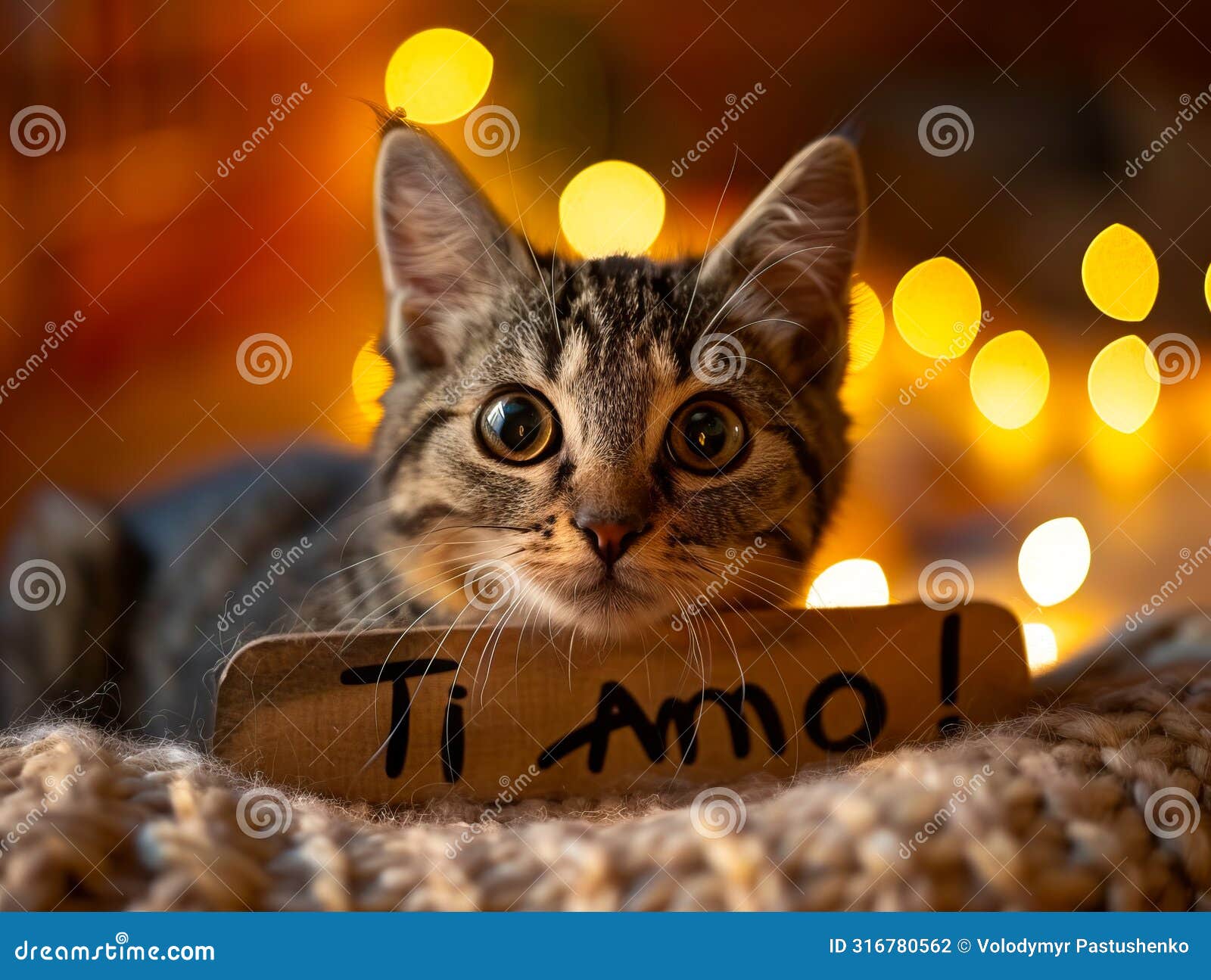 a cat with a sign that says ti amo