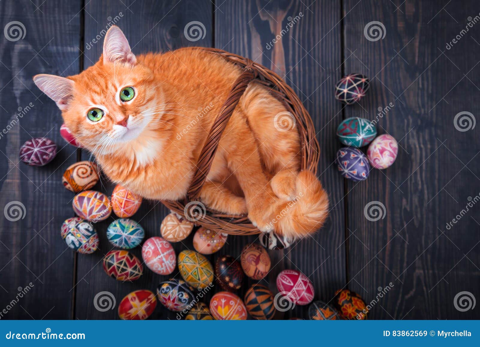 Cat Sitting in the Basket on a Wooden Background with Easter Eggs
