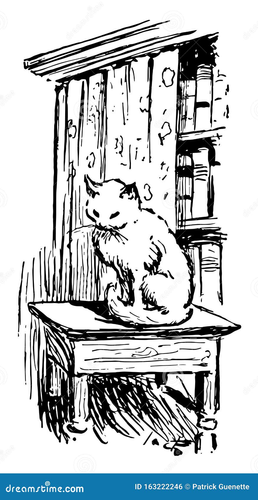 Bookshelf Line Drawing Stock Illustrations 591 Bookshelf Line Drawing Stock Illustrations Vectors Clipart Dreamstime Bookshelf Line Drawing Stock Illustrations 591 Bookshelf Line Drawing Stock Illustrations Vectors Clipart Dreamstime