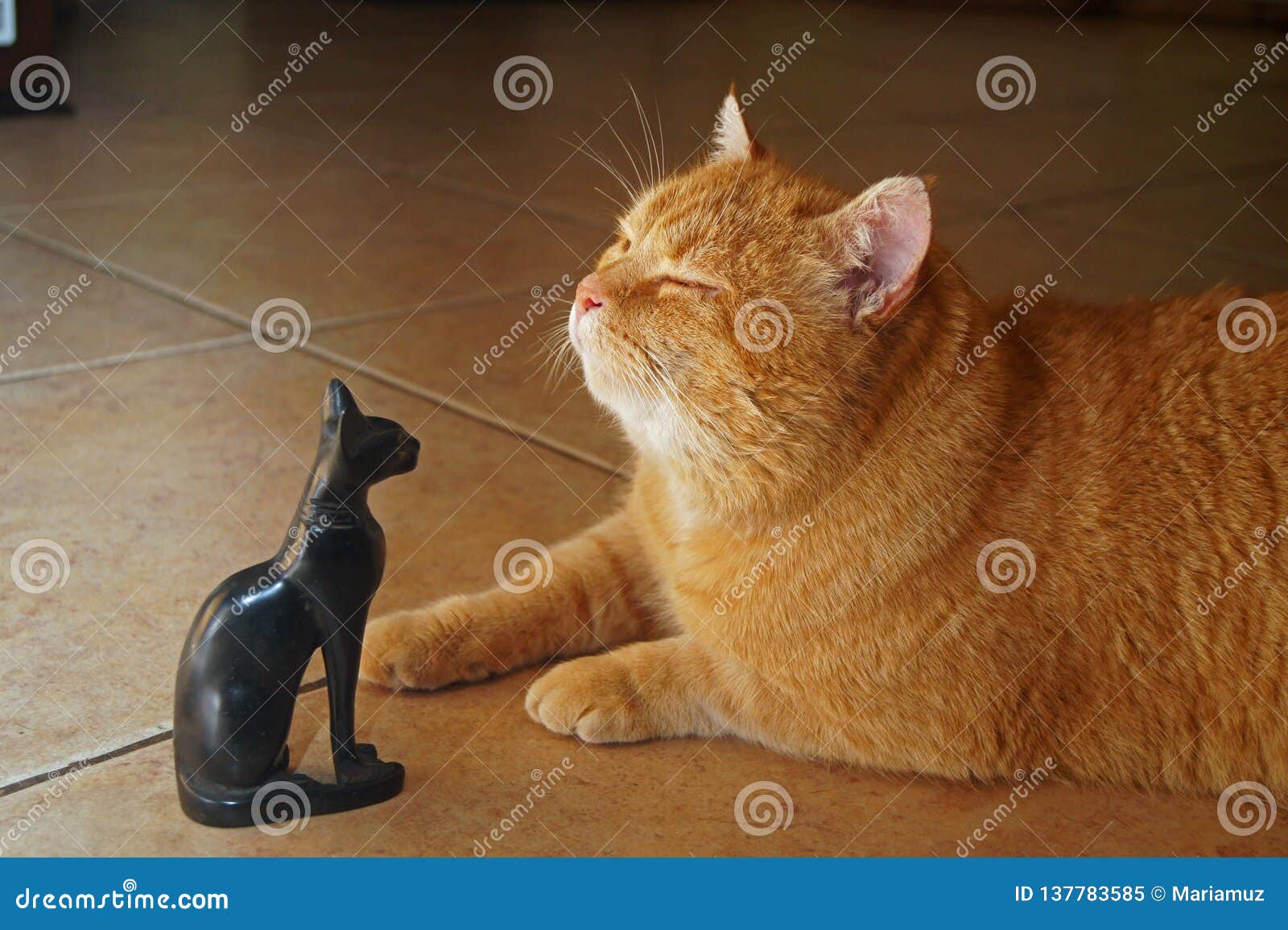 ancient gods, cat in sunlight with statue of goddess bastet