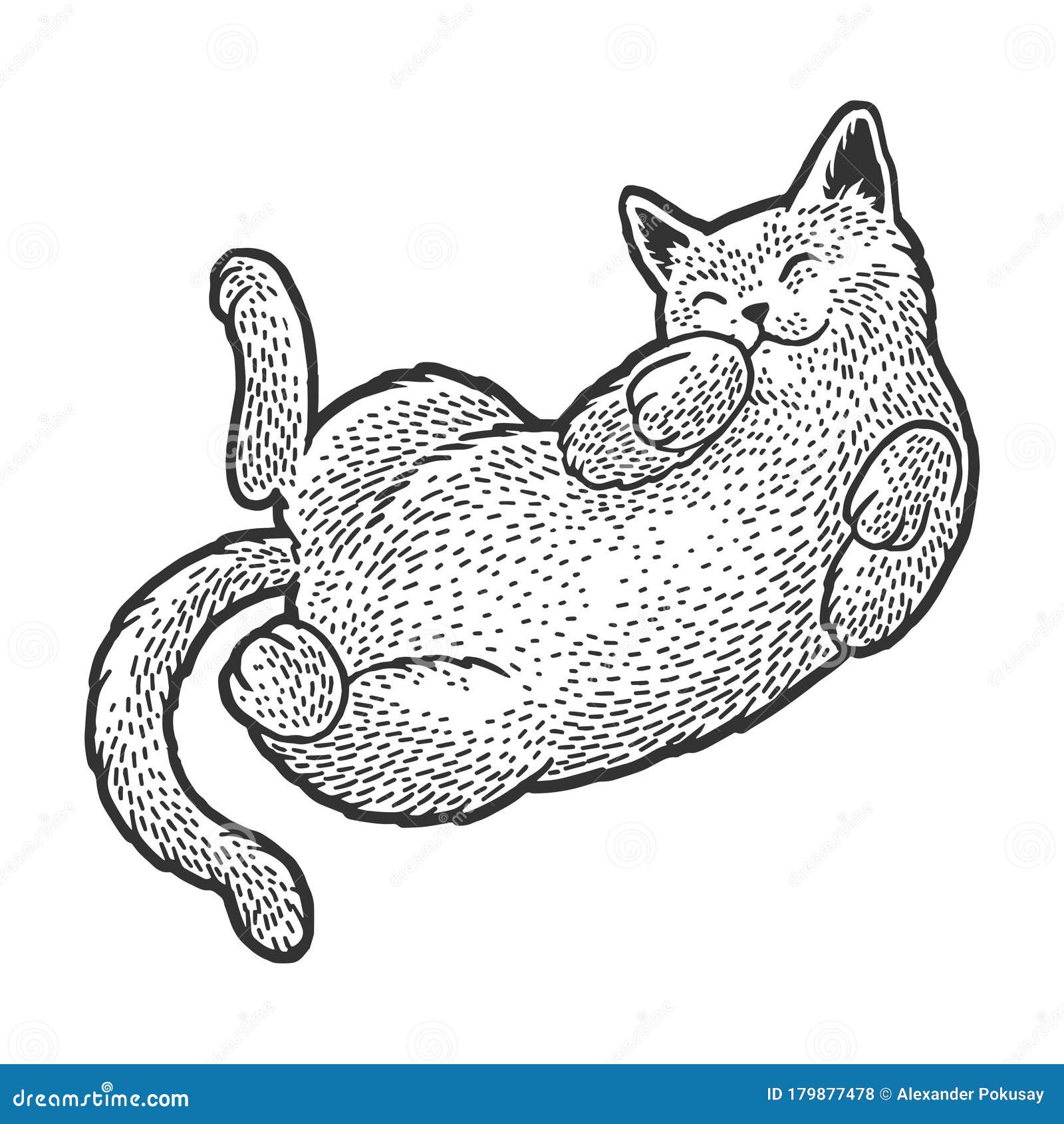 Cat Sleeping On Back Sketch Vector Illustration Stock Vector