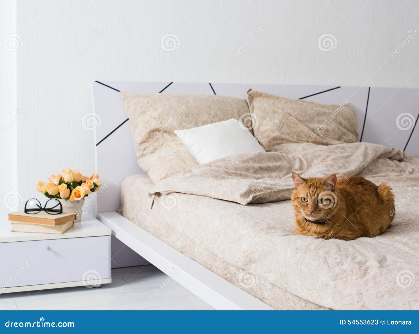 Cat sleeping on a bed stock image. Image of ginger ...