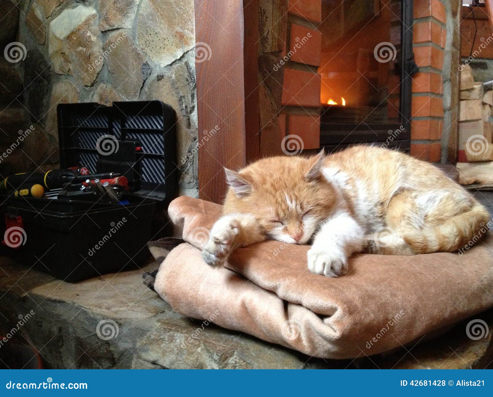 Why Did the Cat Go to Sleep in the Fireplace