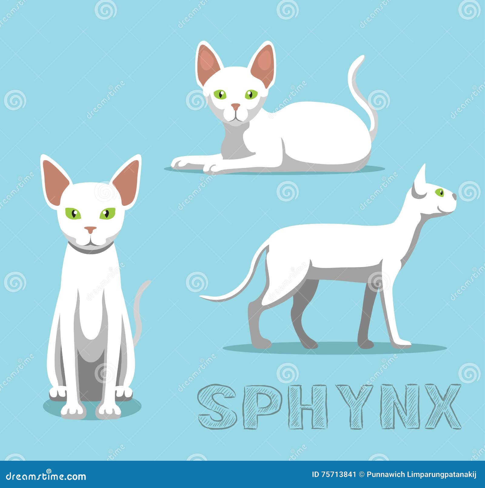 Cat Sphynx Cat Cartoon Vector Illustration Stock Vector - Illustration